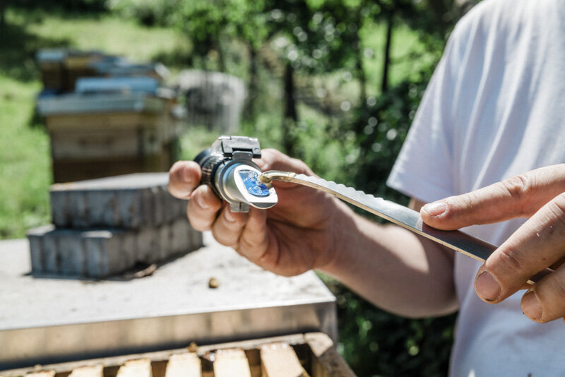  #beekeeper #imker #honig #esslingen #badenwürttemberg #bw #reportage #fotograf #maximiliankamps #stuttgart #0711 #demeter #bio #bioland #biodiversität #biodiversity #agenturblumberg #photographer #honey #morethanhoney 