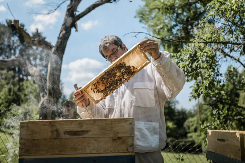  #beekeeper #imker #honig #esslingen #badenwürttemberg #bw #reportage #fotograf #maximiliankamps #stuttgart #0711 #demeter #bio #bioland #biodiversität #biodiversity #agenturblumberg #photographer #honey #morethanhoney #portrait 