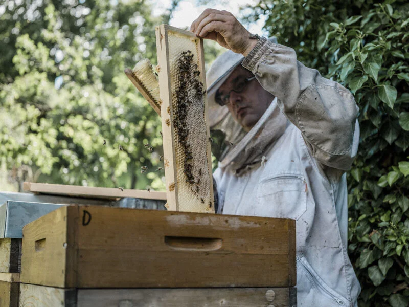  #beekeeper #imker #honig #esslingen #badenwürttemberg #bw #reportage #fotograf #maximiliankamps #stuttgart #0711 #demeter #bio #bioland #biodiversität #biodiversity #agenturblumberg #photographer #honey #morethanhoney #portrait 