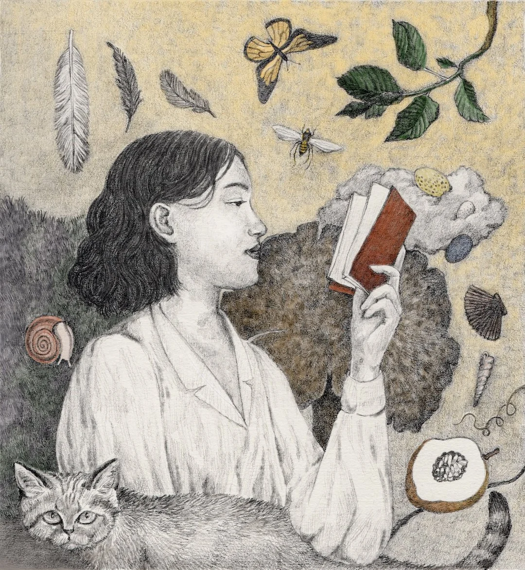 Illustration — YU-CHING, CHIU