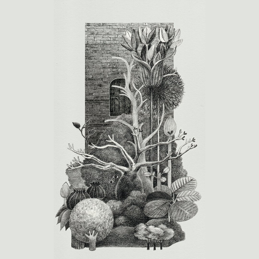 Uncharted Land