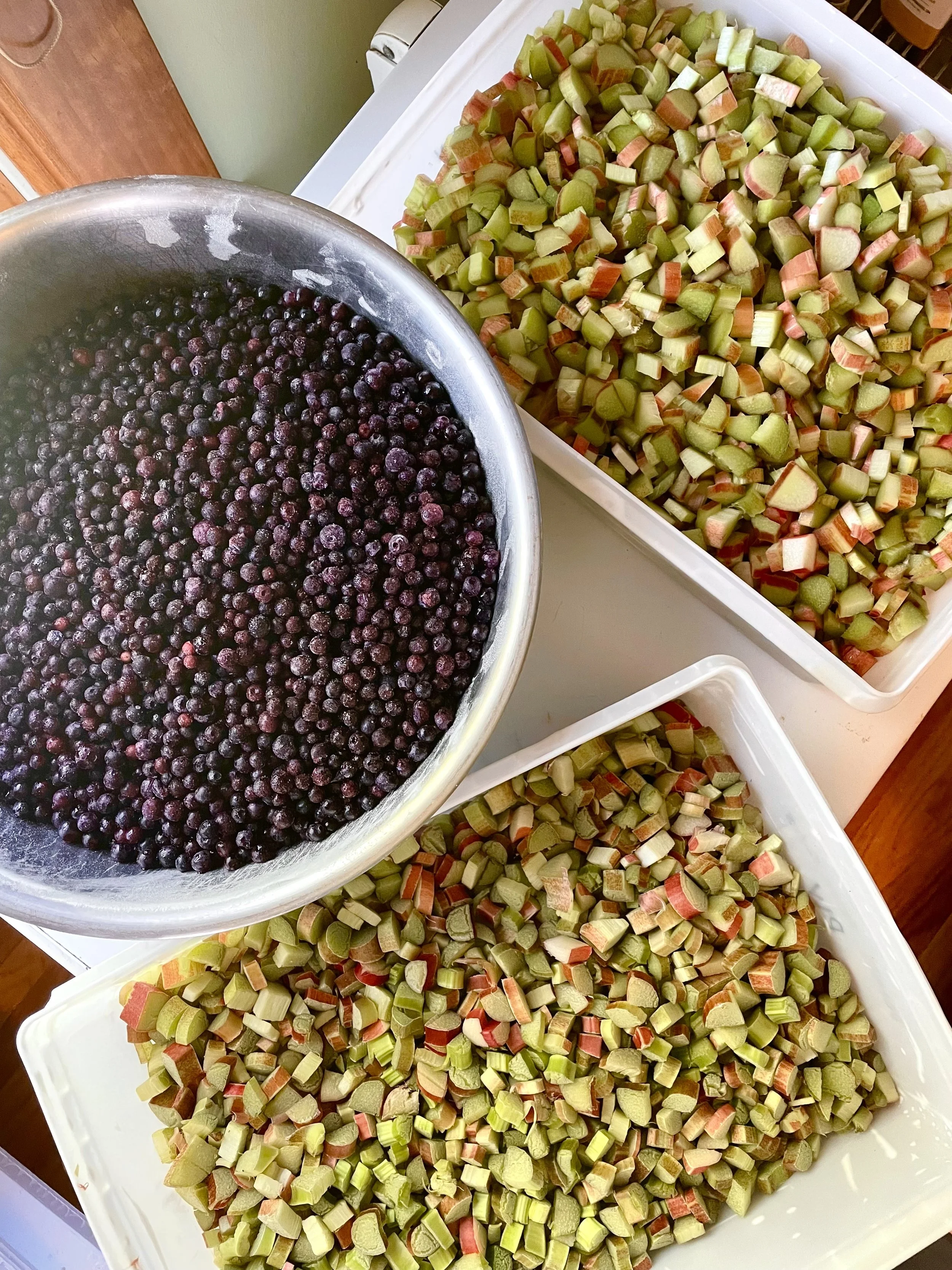 Containers of chopped rhubarb and a large bowl of fresh blueberries.