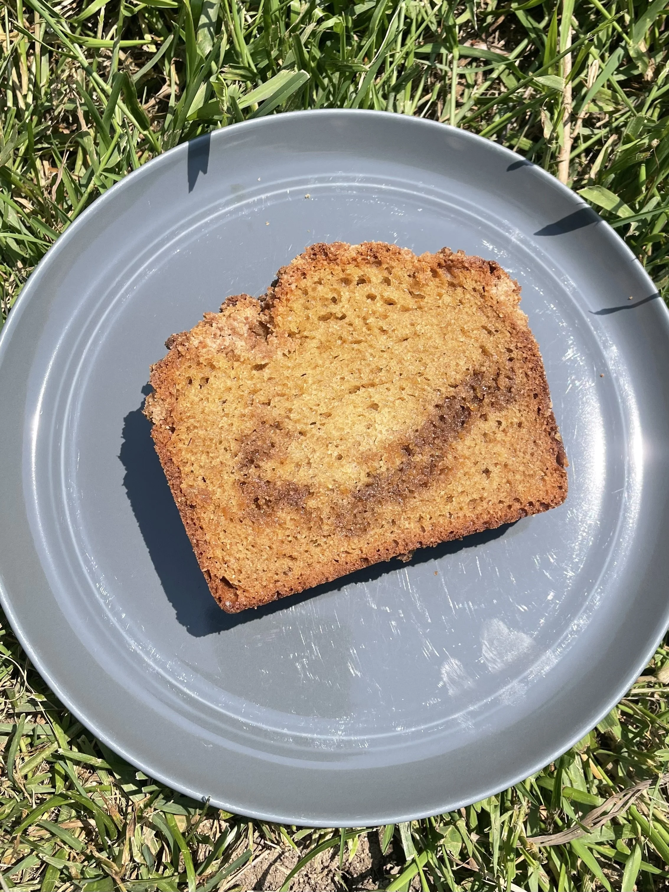 A slice of coffee cake on a gray plate, set on grass in sunlight.