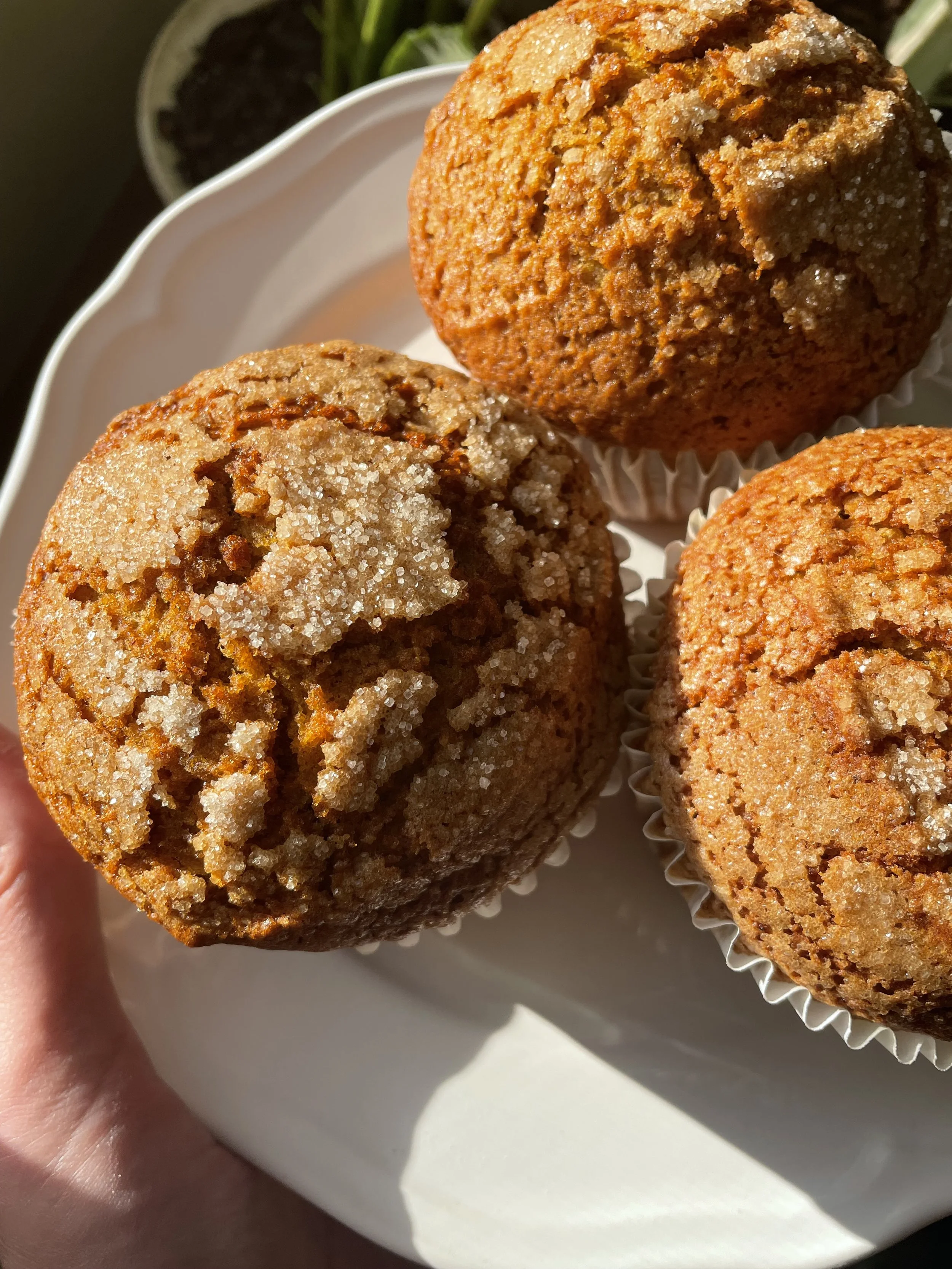 Three muffins, one with sugar crystals on top, on a white plate.