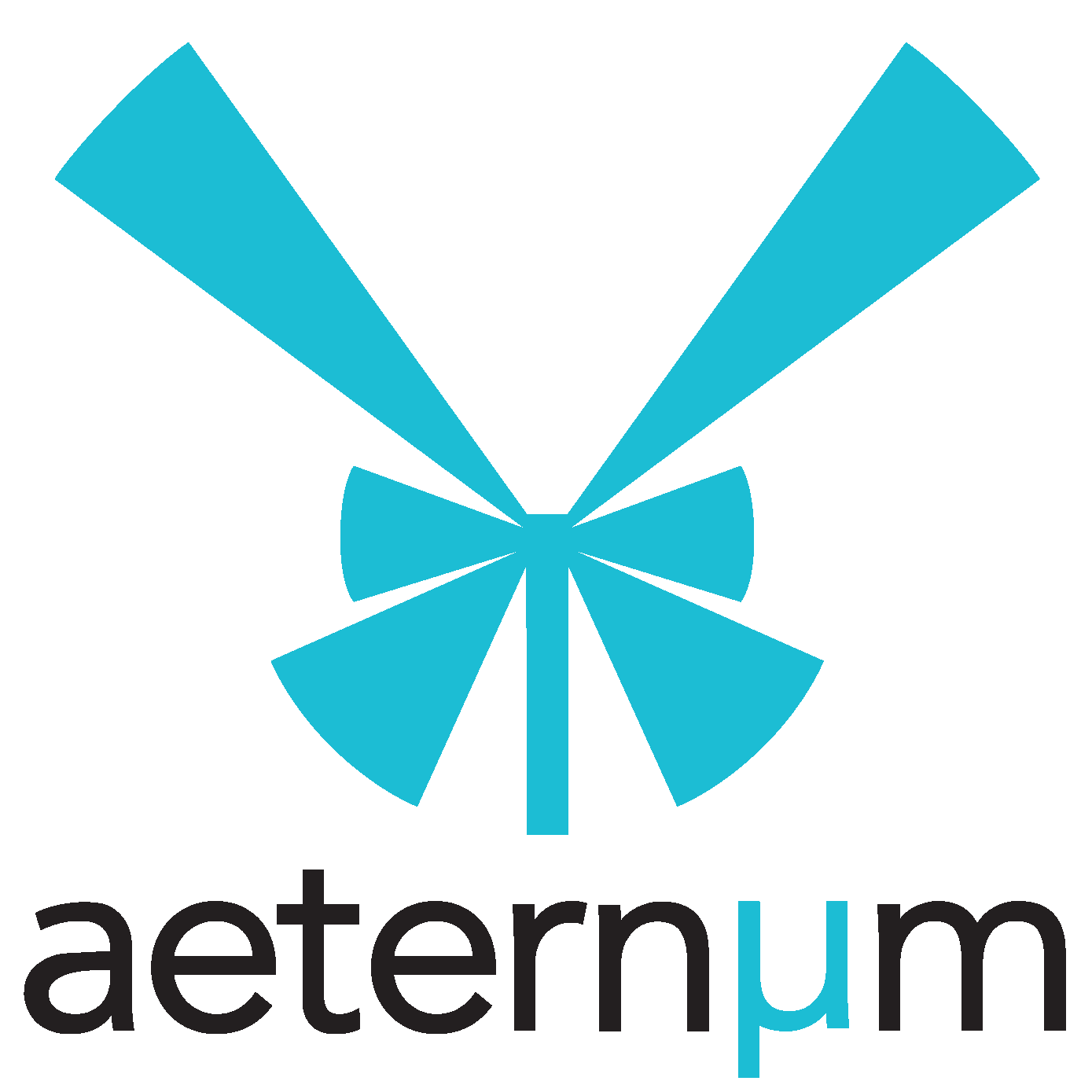 aeternum-500x500-vector-vertical-and-horizontal_1_color.png