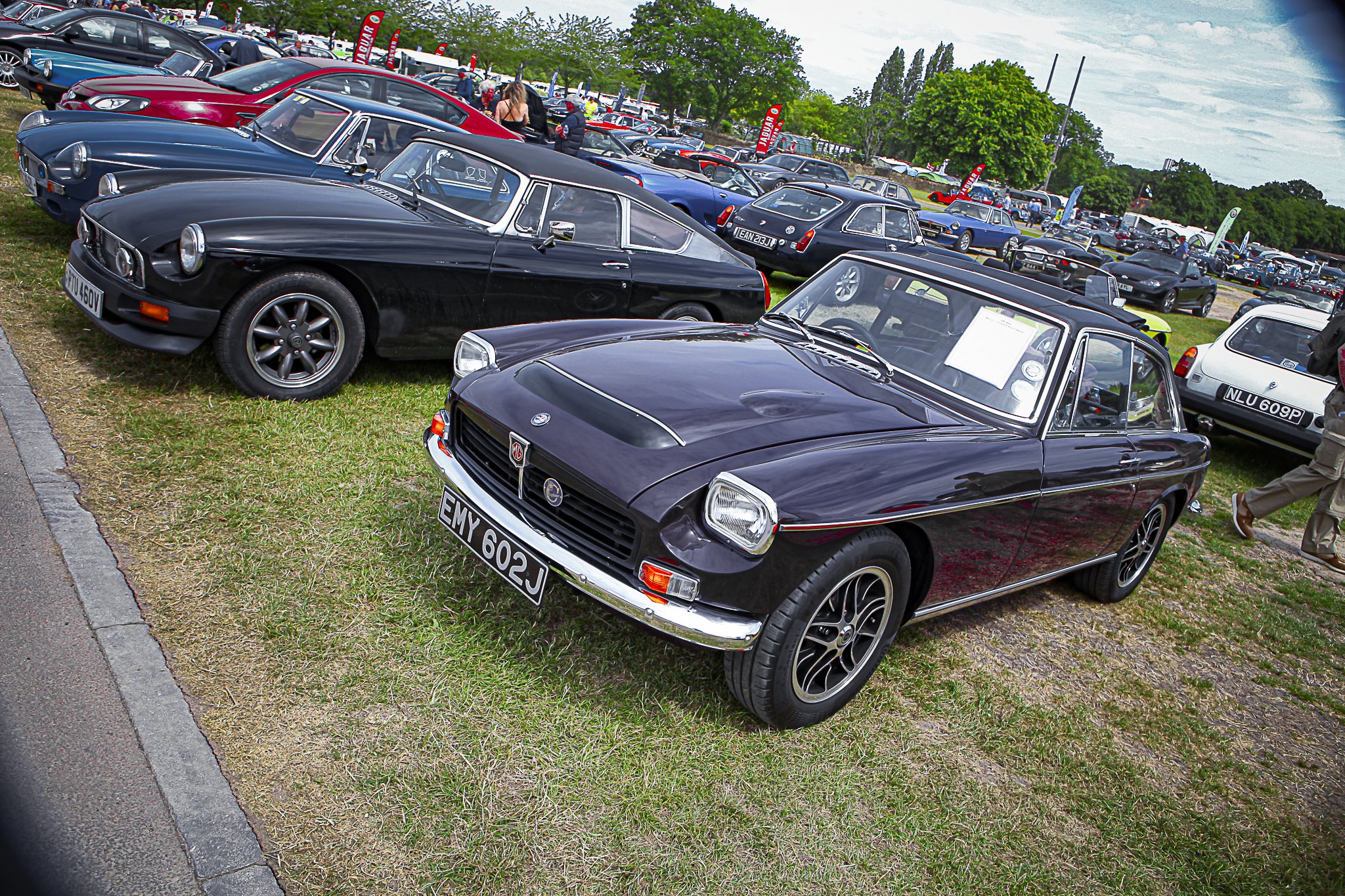 JMG_9021 (137).jpg