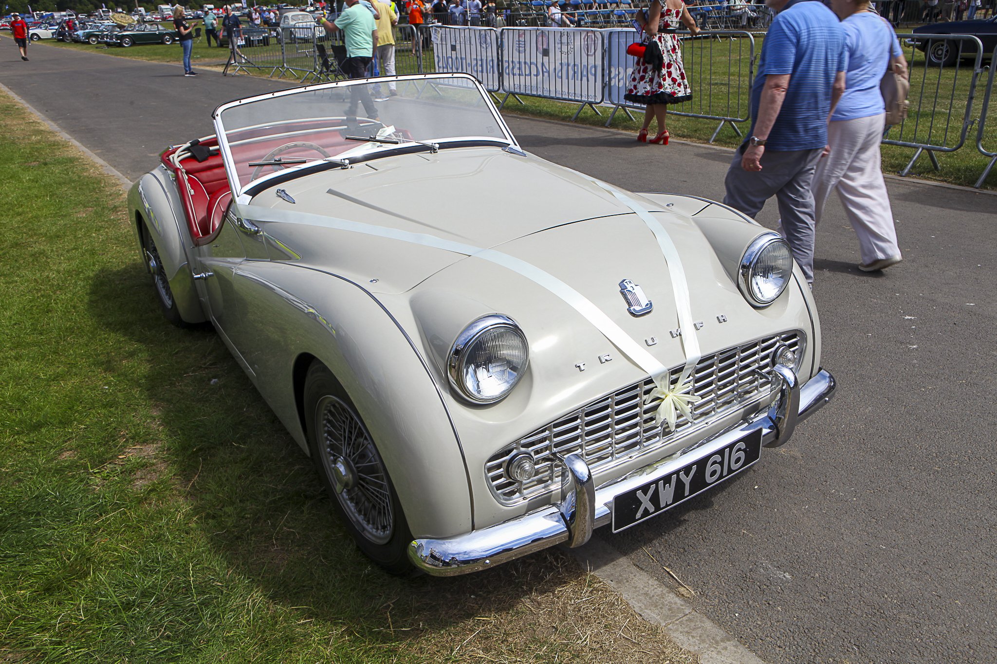 JMG_9021 (245).jpg