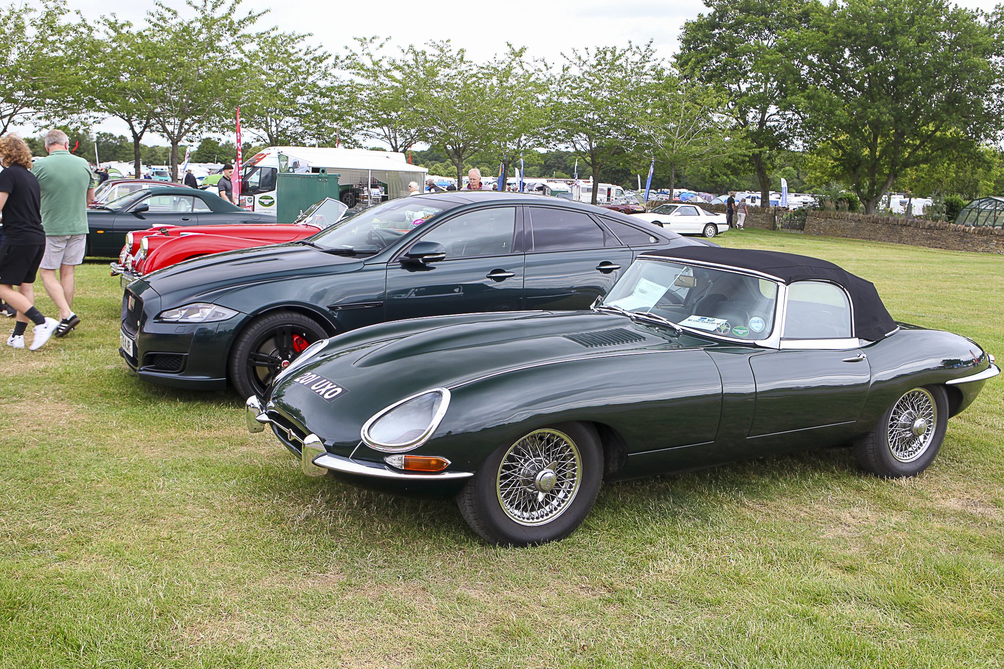 JMG_9021 (66).jpg
