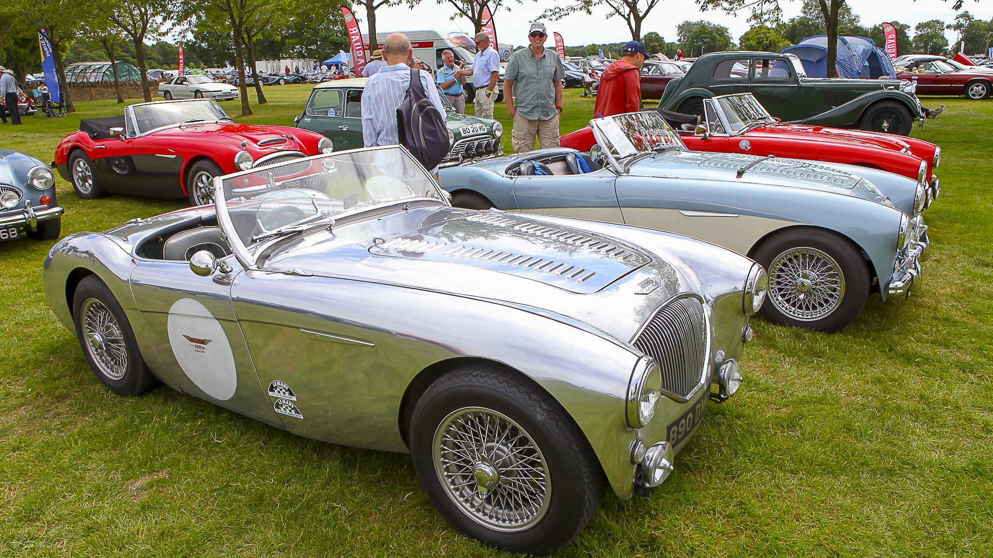 JMG_9021 (151).jpg