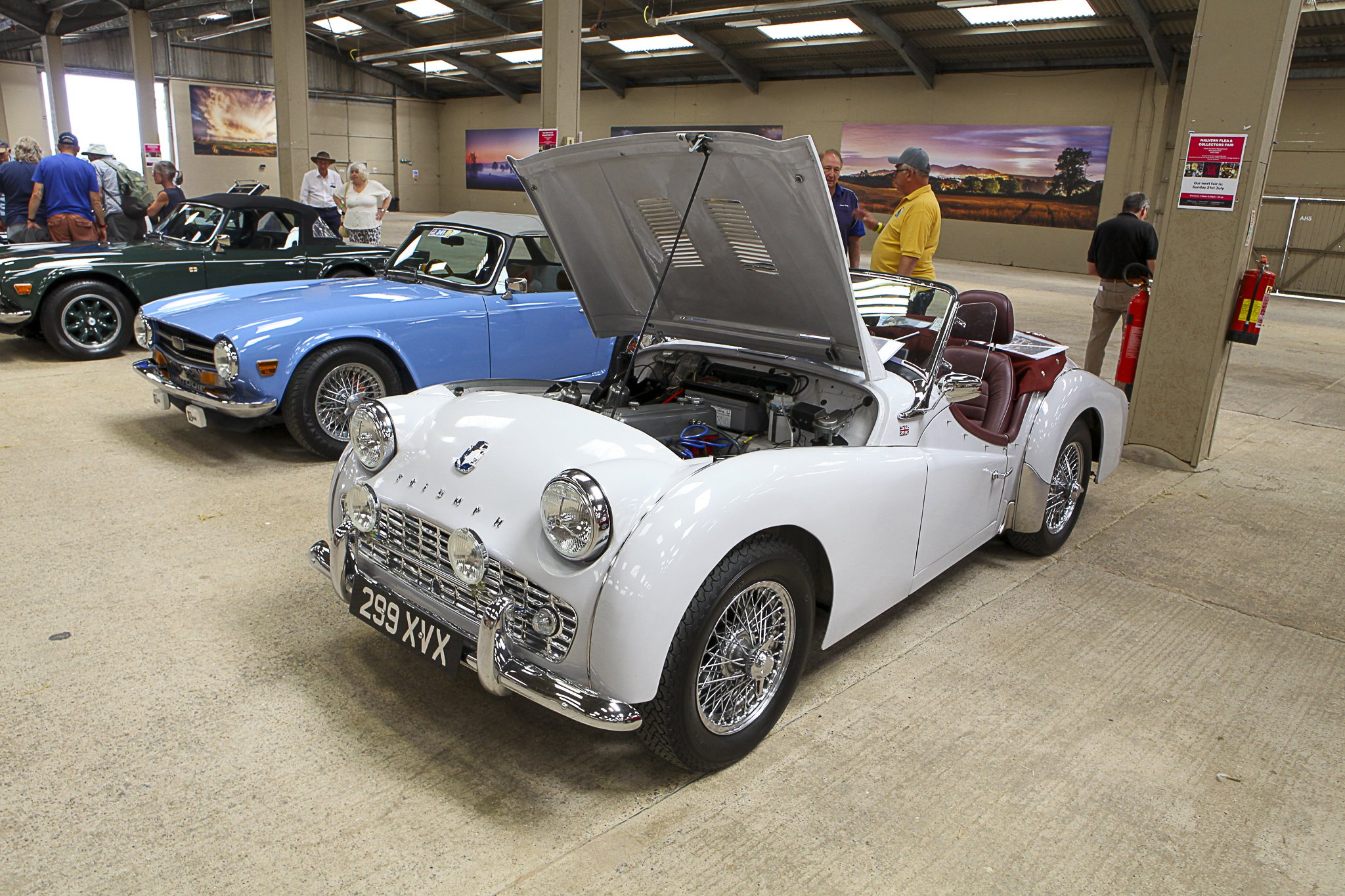 JMG_9021 (117).jpg