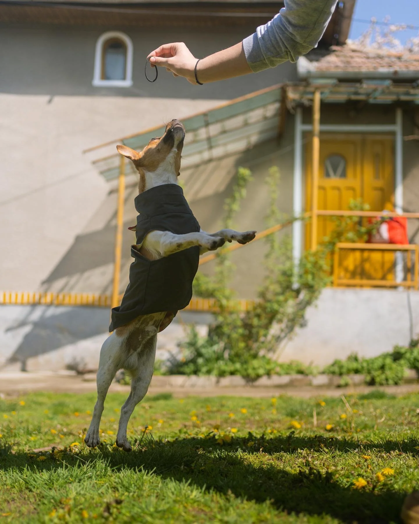 Lovely moments from Stevie and his family. We are so happy to contribute to the joy of being outside, playing and enjoying favorite snacks.