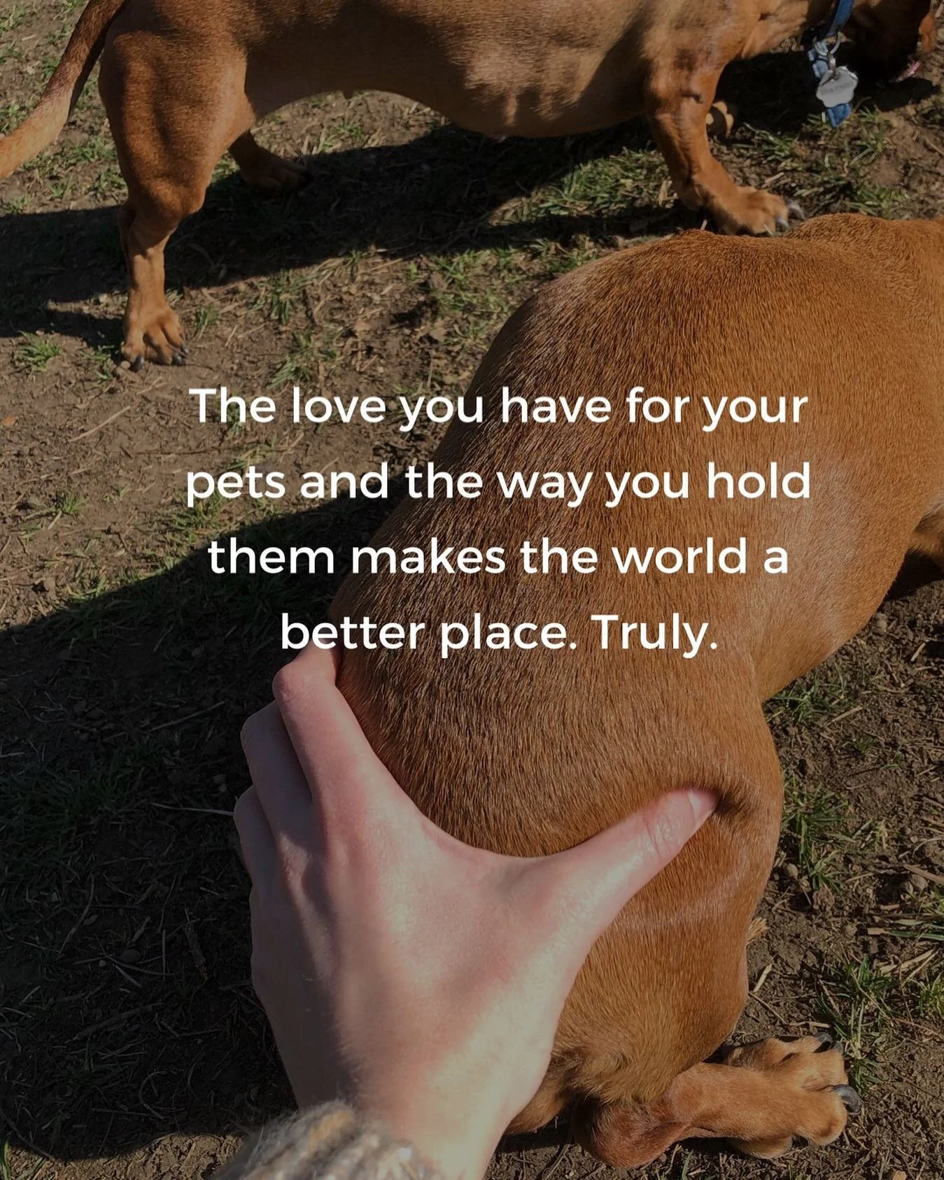 Truly. #dogholding4life