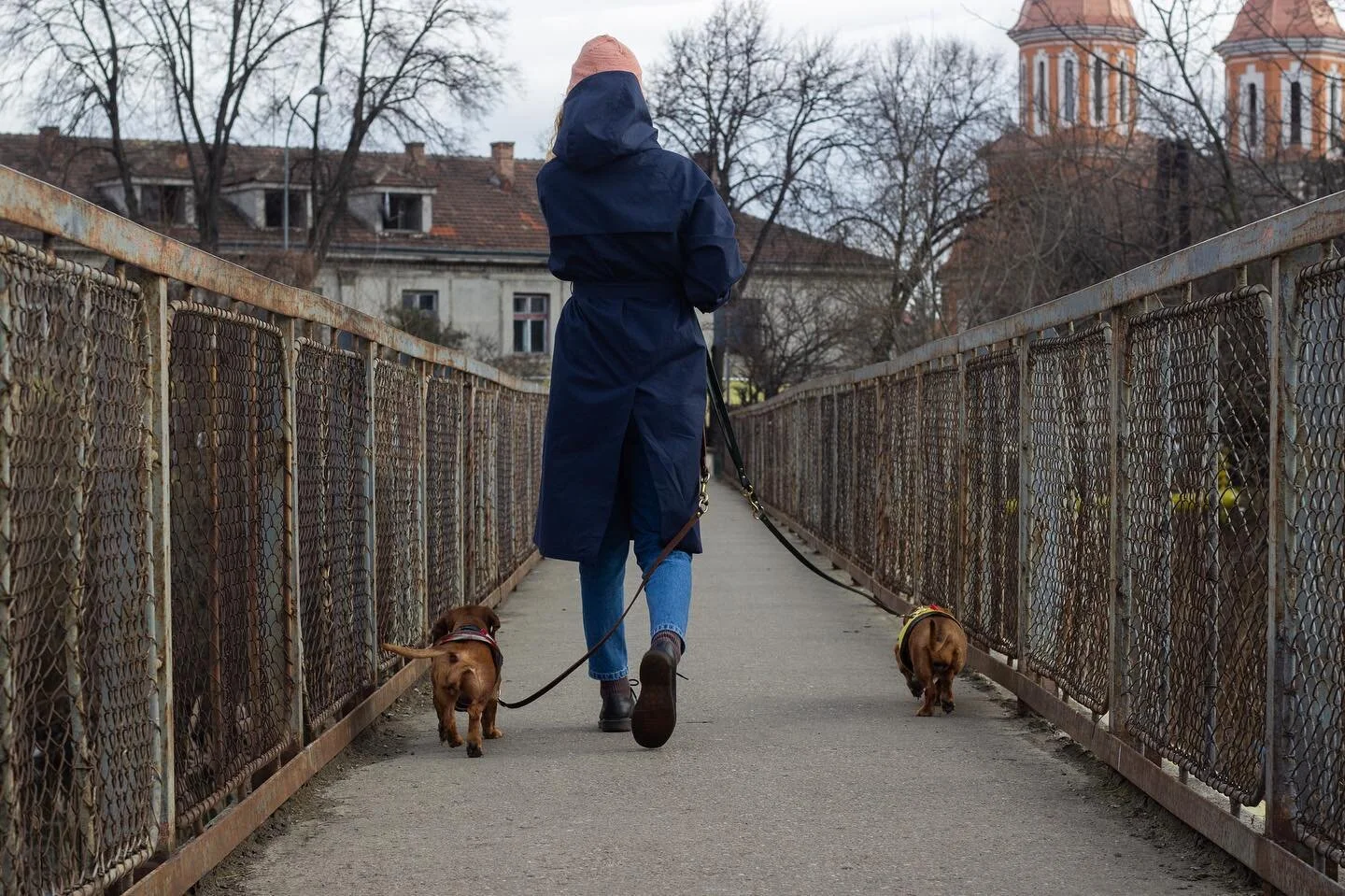 We interrupt this heatwave with raincoat weather nostalgia. Do you and your doggie also miss cooler days?