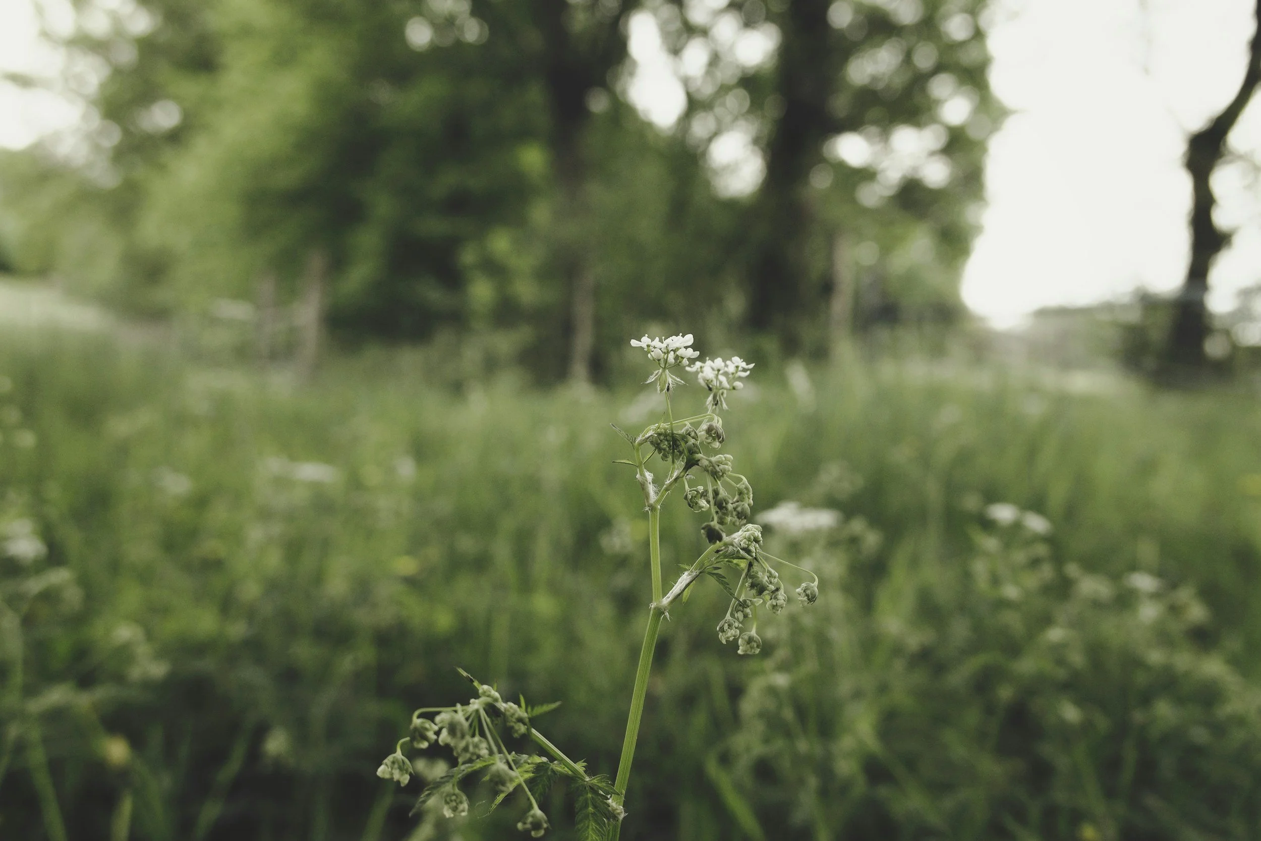 Höstkonferens i Lund