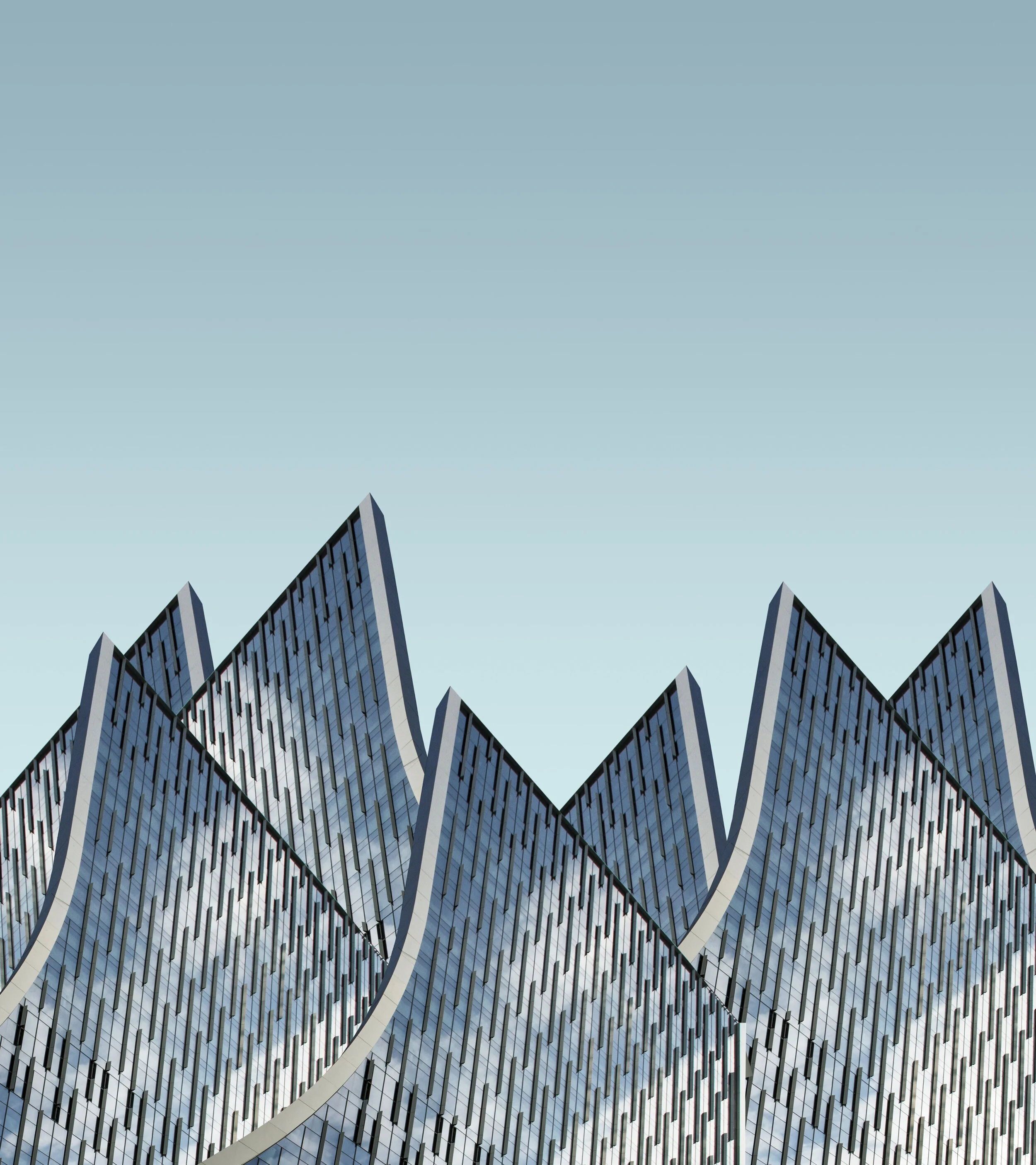 Northridge-Capital-Developments.jpeg