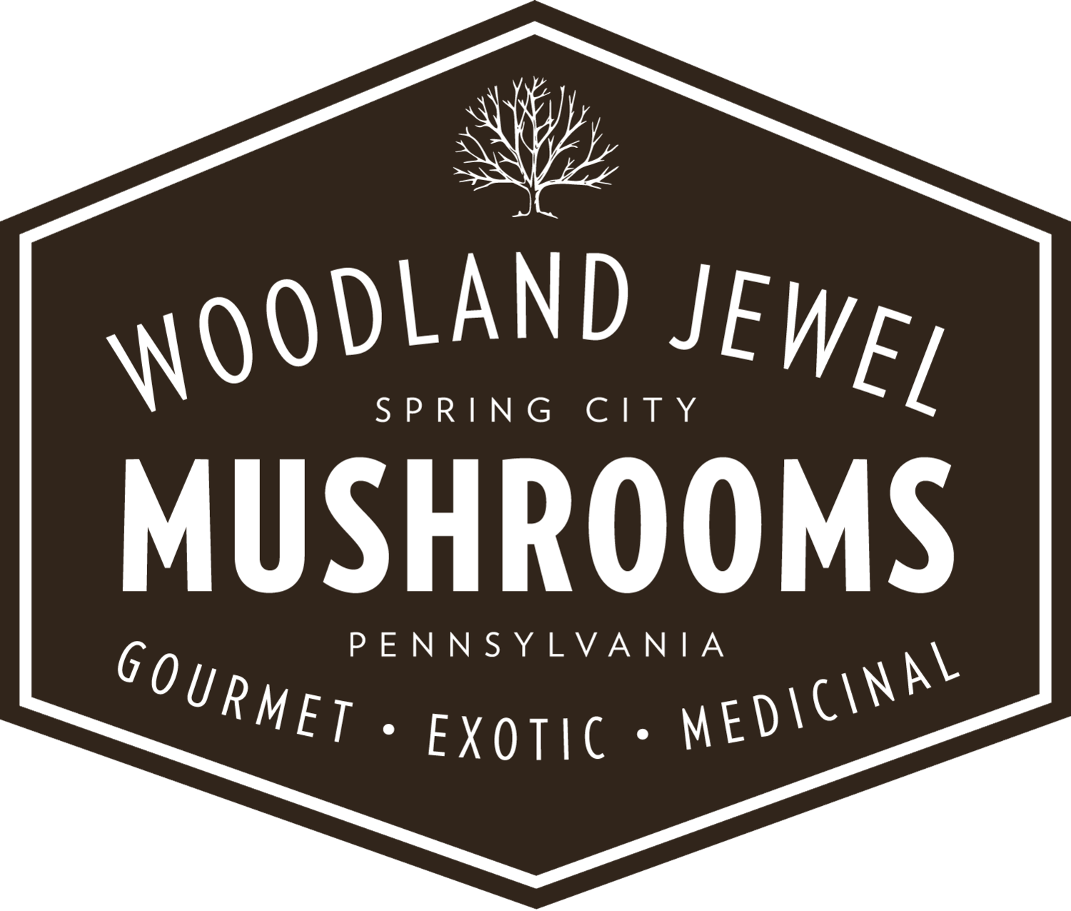 WOODLAND JEWEL MUSHROOMS