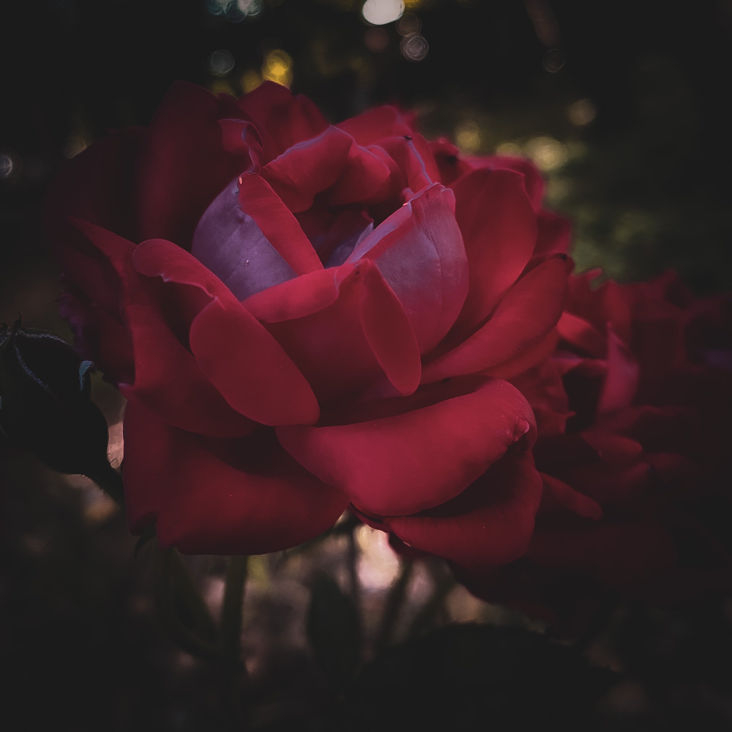 5/31/2022