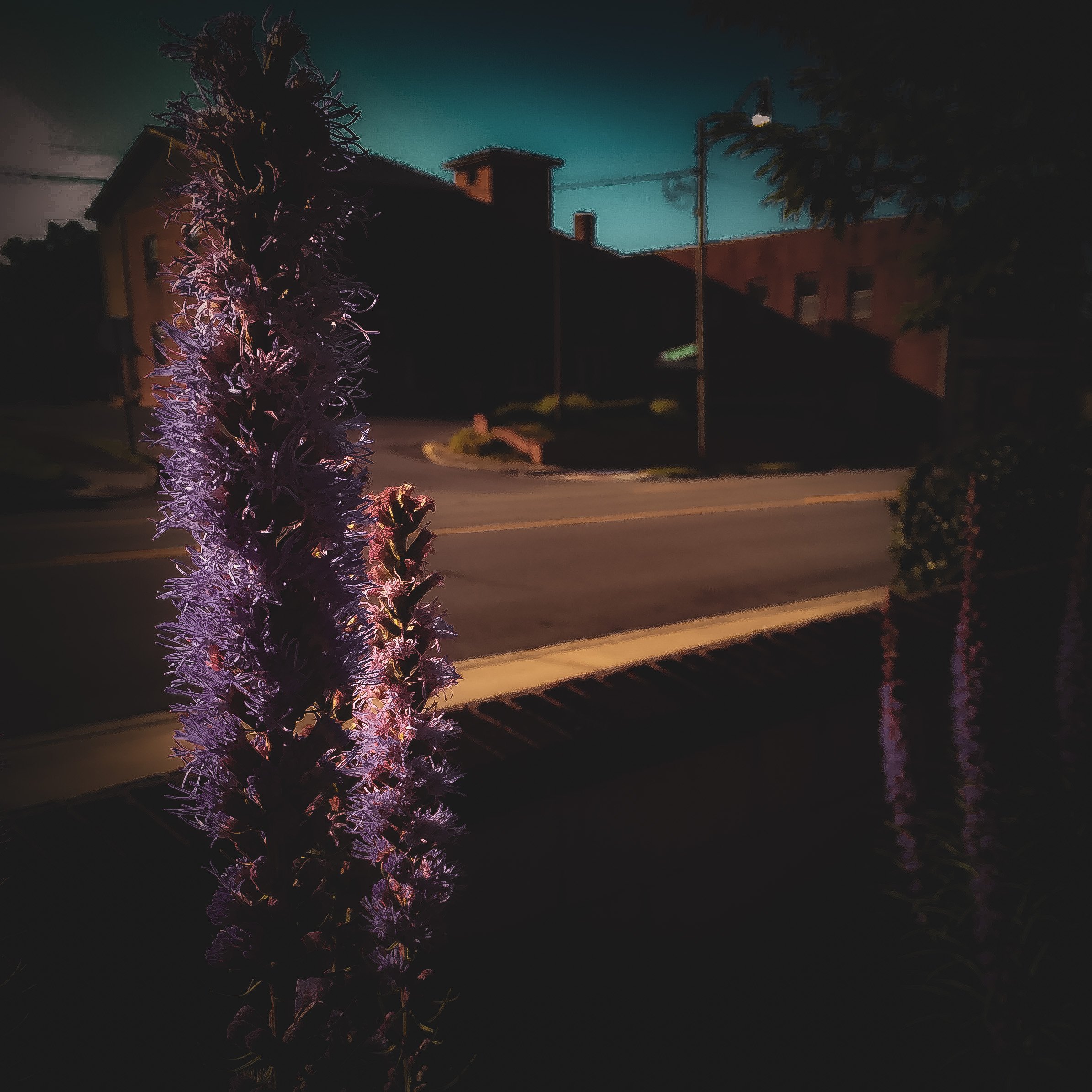 8/6/2022