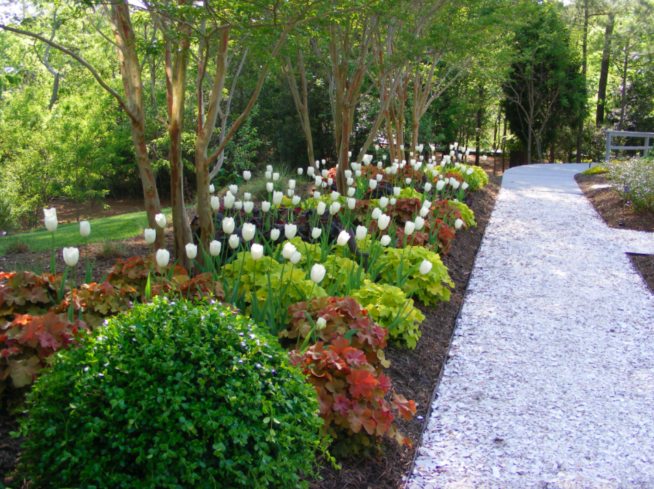 Image of Oyster shell mulch