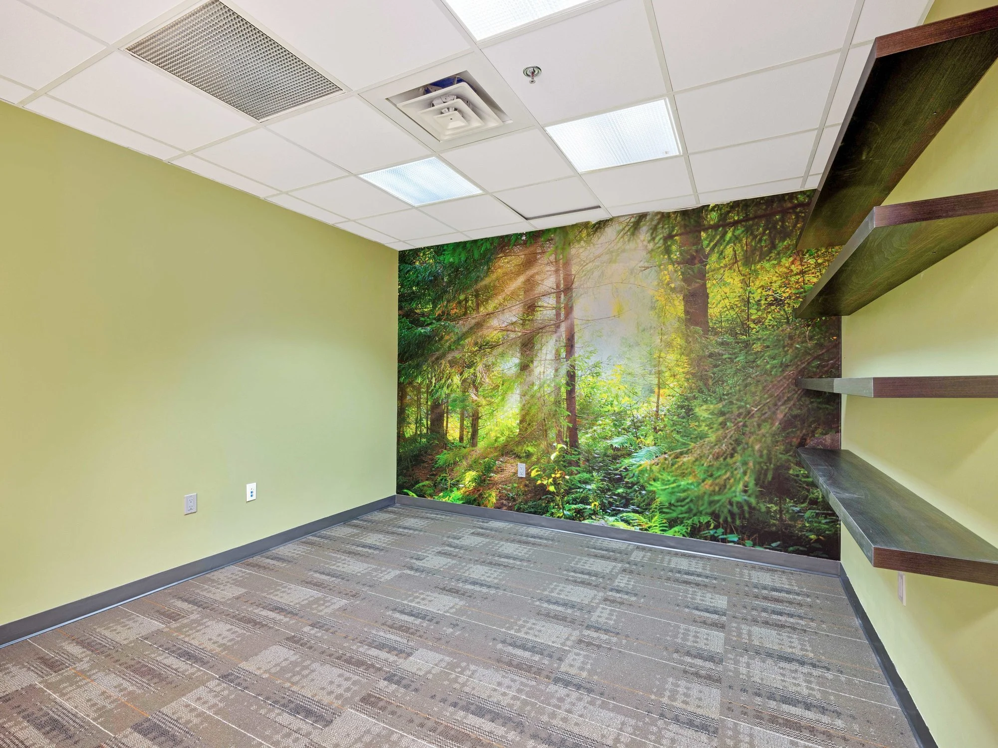 Private office with a forest mural wall