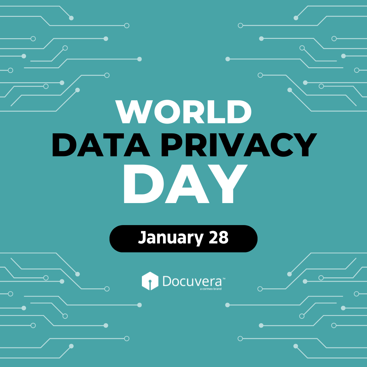 World Data Privacy Day.png