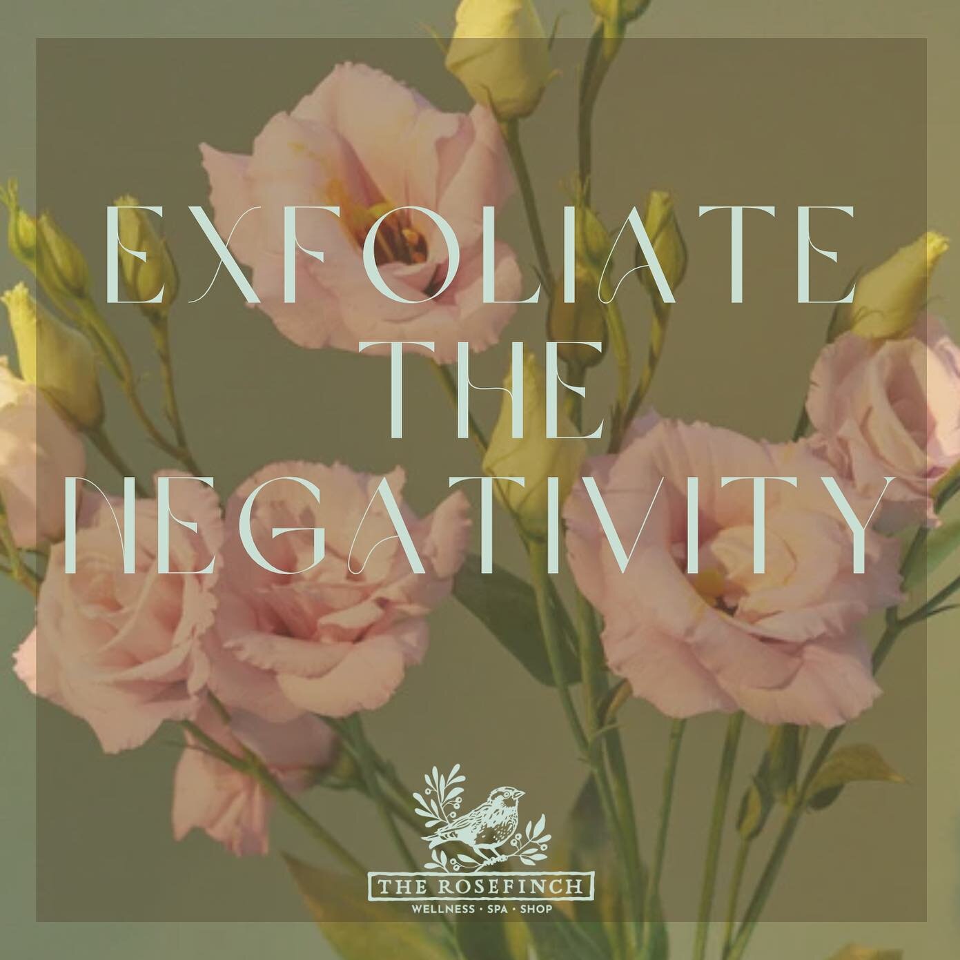 Mantra of the year. #exfoliatethenegativity #youarebeautiful #allarewelcomehere