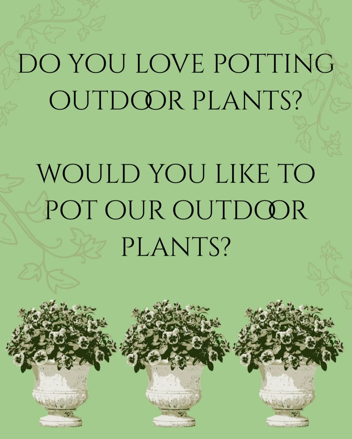 We would love to partner with someone local to pot and care for our outdoor plants. 🪴🪴🪴We would love to trade services but we can also pay, of course. We are great about watering them but less great about selecting the right flowers and plants and