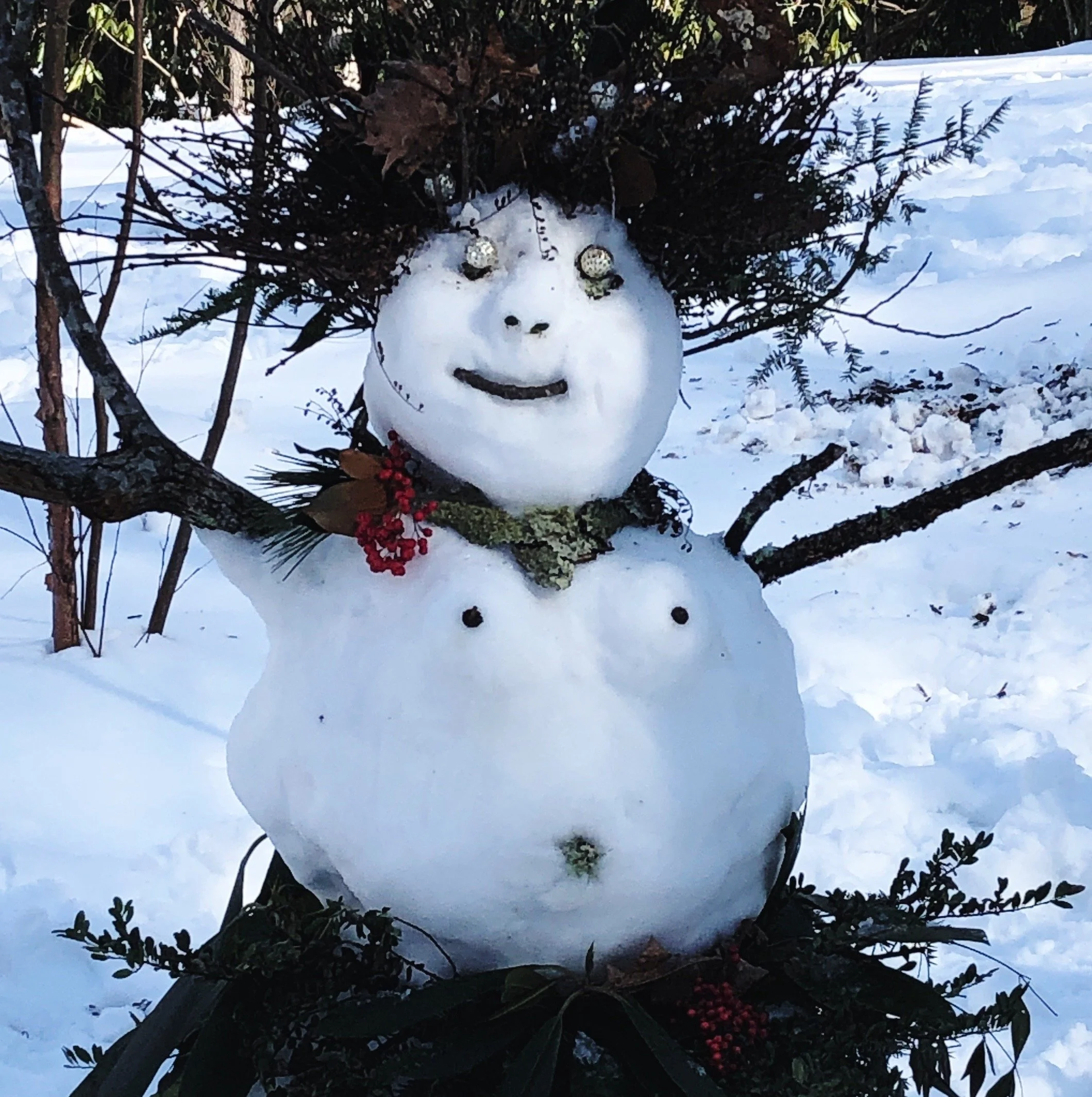 Winter Snow Woman.jpg