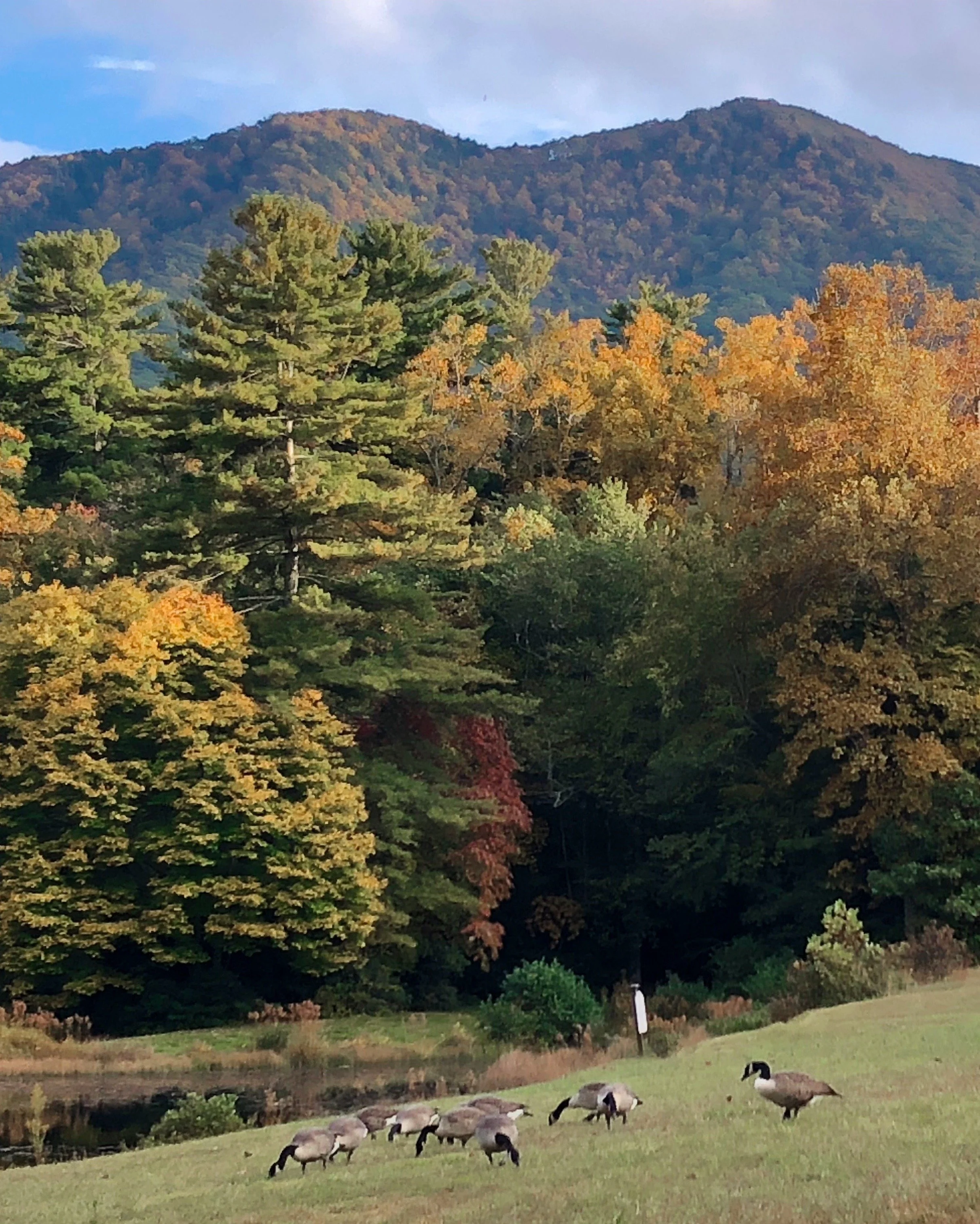 Glorious Autumn.jpg