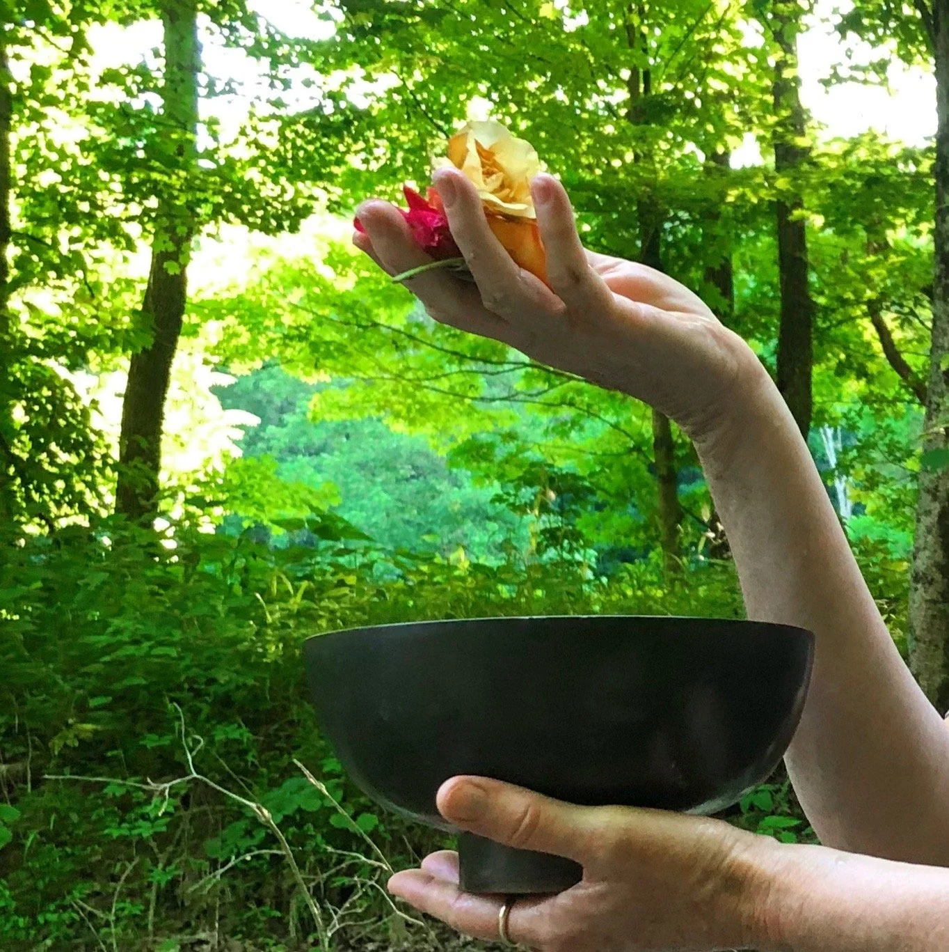 Summer Sacred Gratitude Ritual.jpg