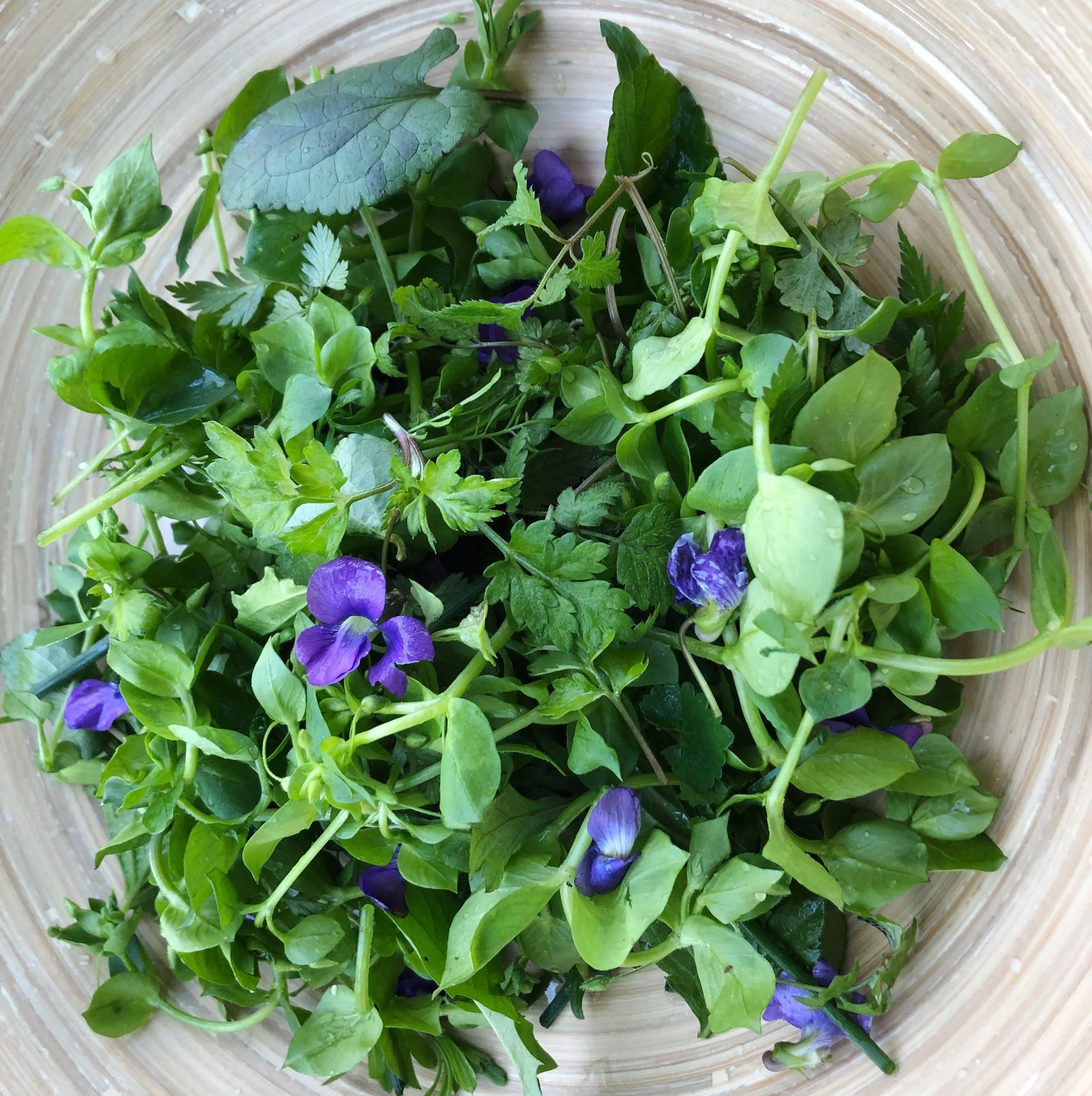 Wild Spring Salad.JPG