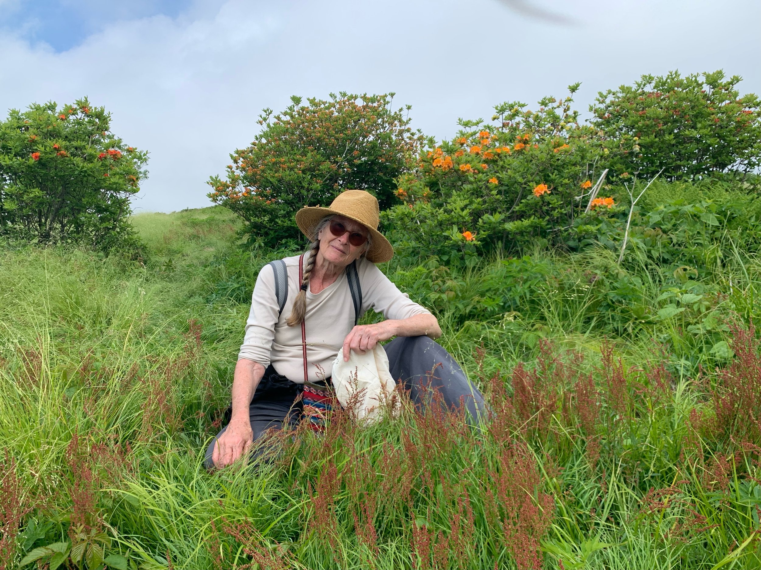 Spring hike and forage 2.jpeg