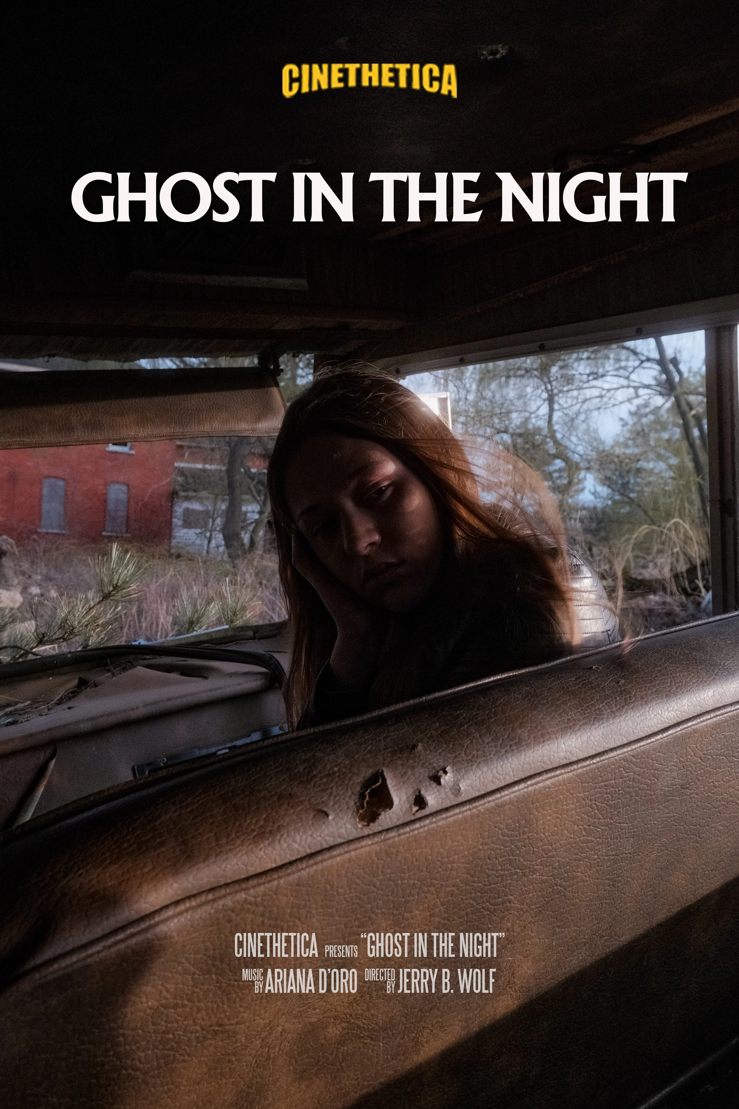 ghost in the night poster.jpg