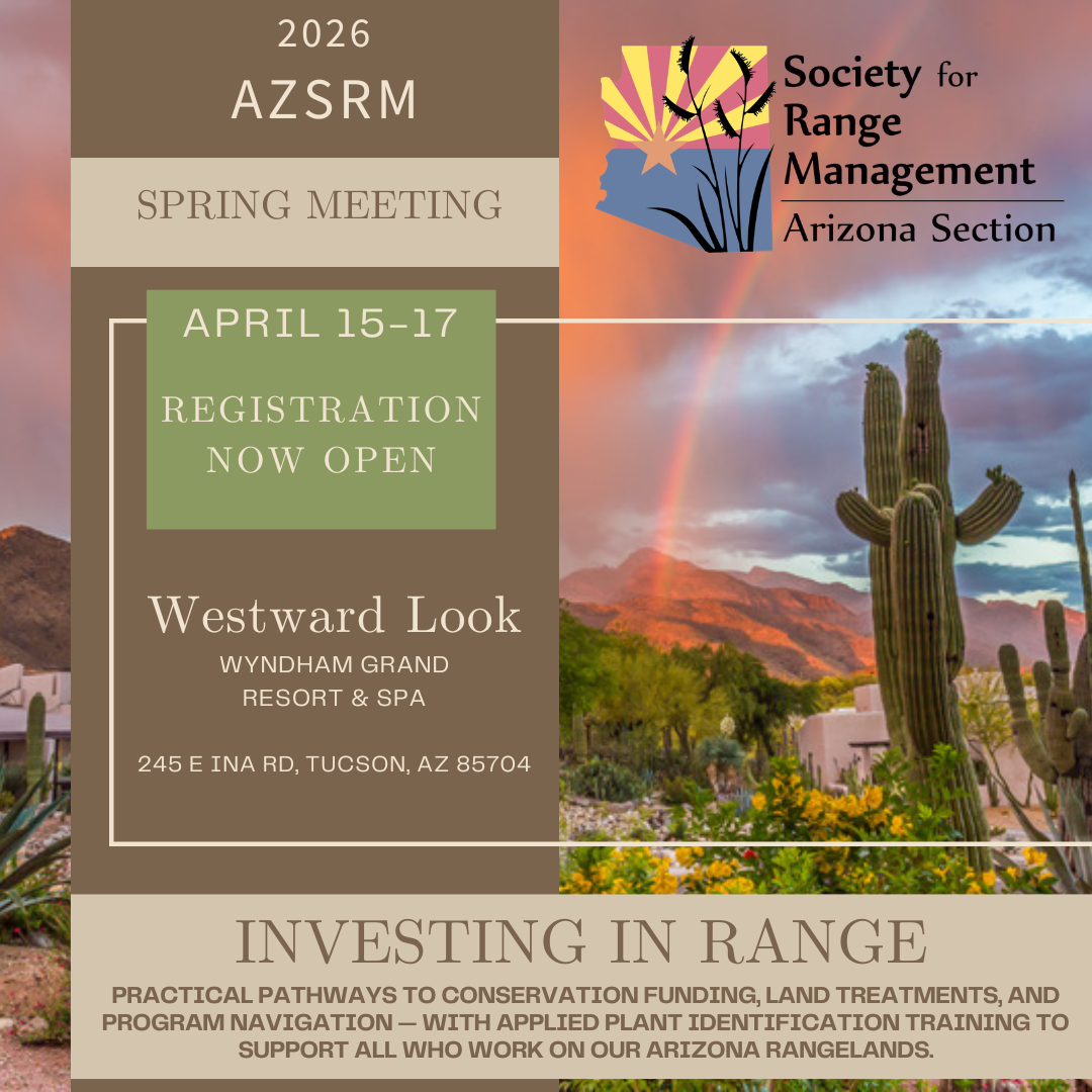 insta 2026 spring meeting.png