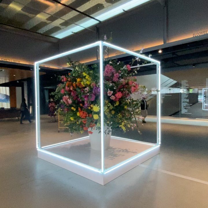 Freestanding neon cube we built and installed recently - beautiful flowers by @tincanstudios ⚡️🌺

#neon #cube #fabrication #flowers #photomoment