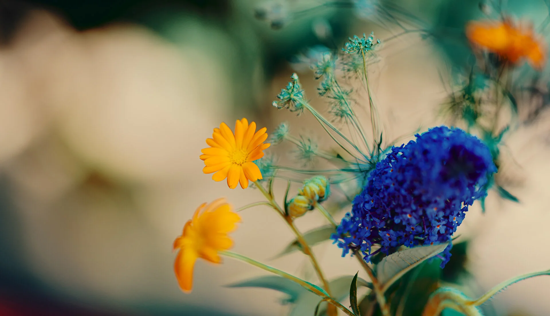Gartenarbeitstag