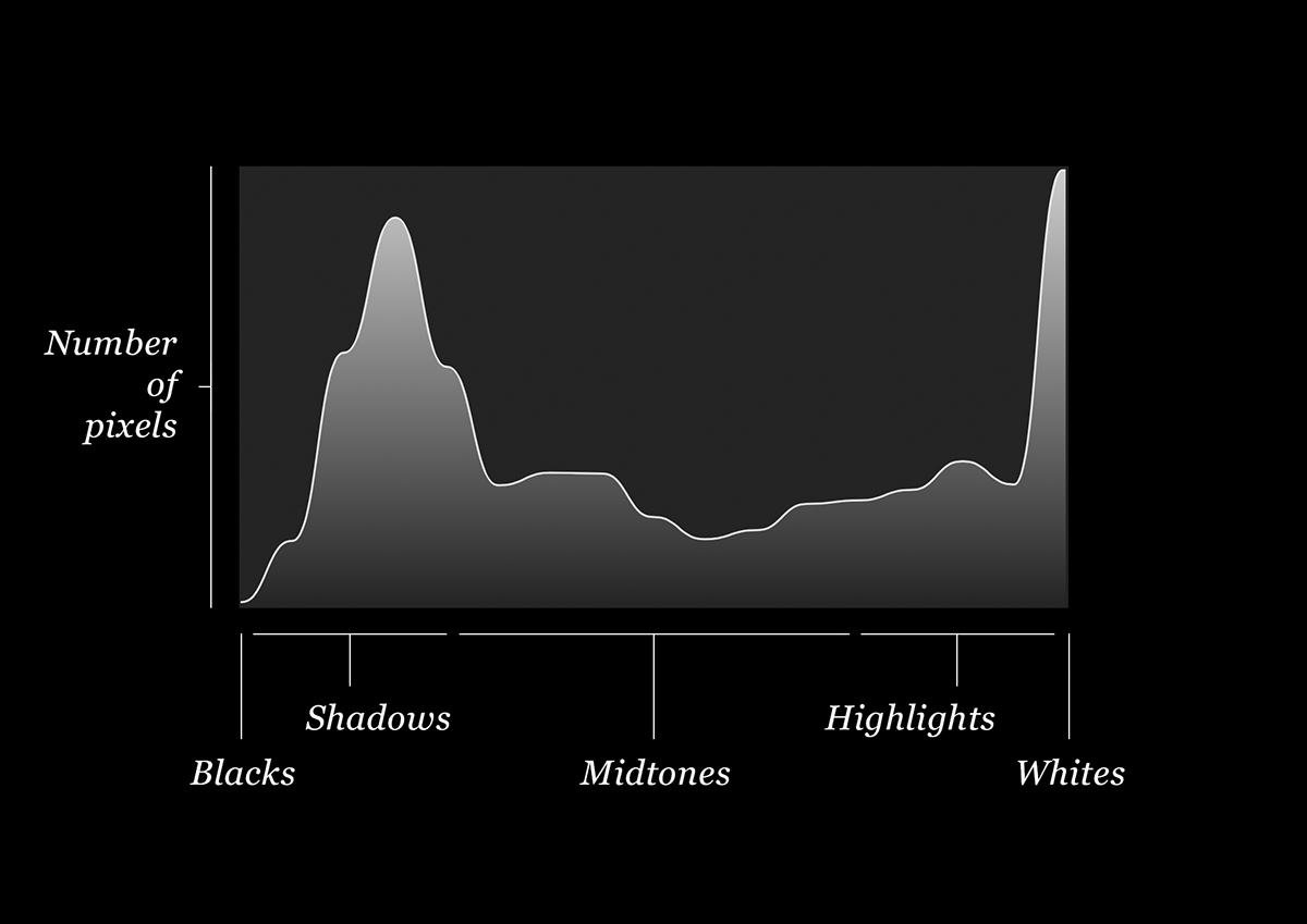 Anatomy of a camera histogram.