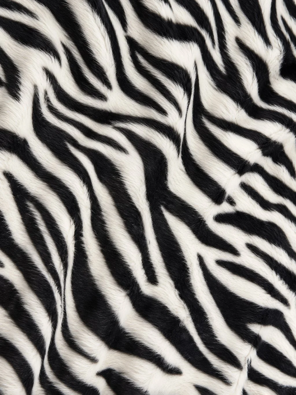zebra (12).jpg.jpeg