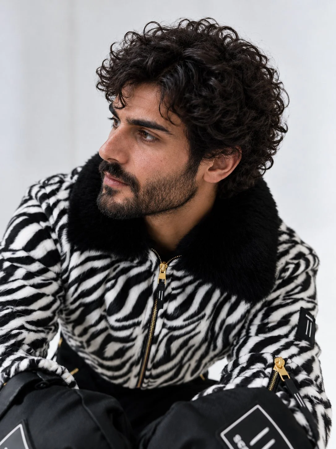zebra (3).jpg.jpeg