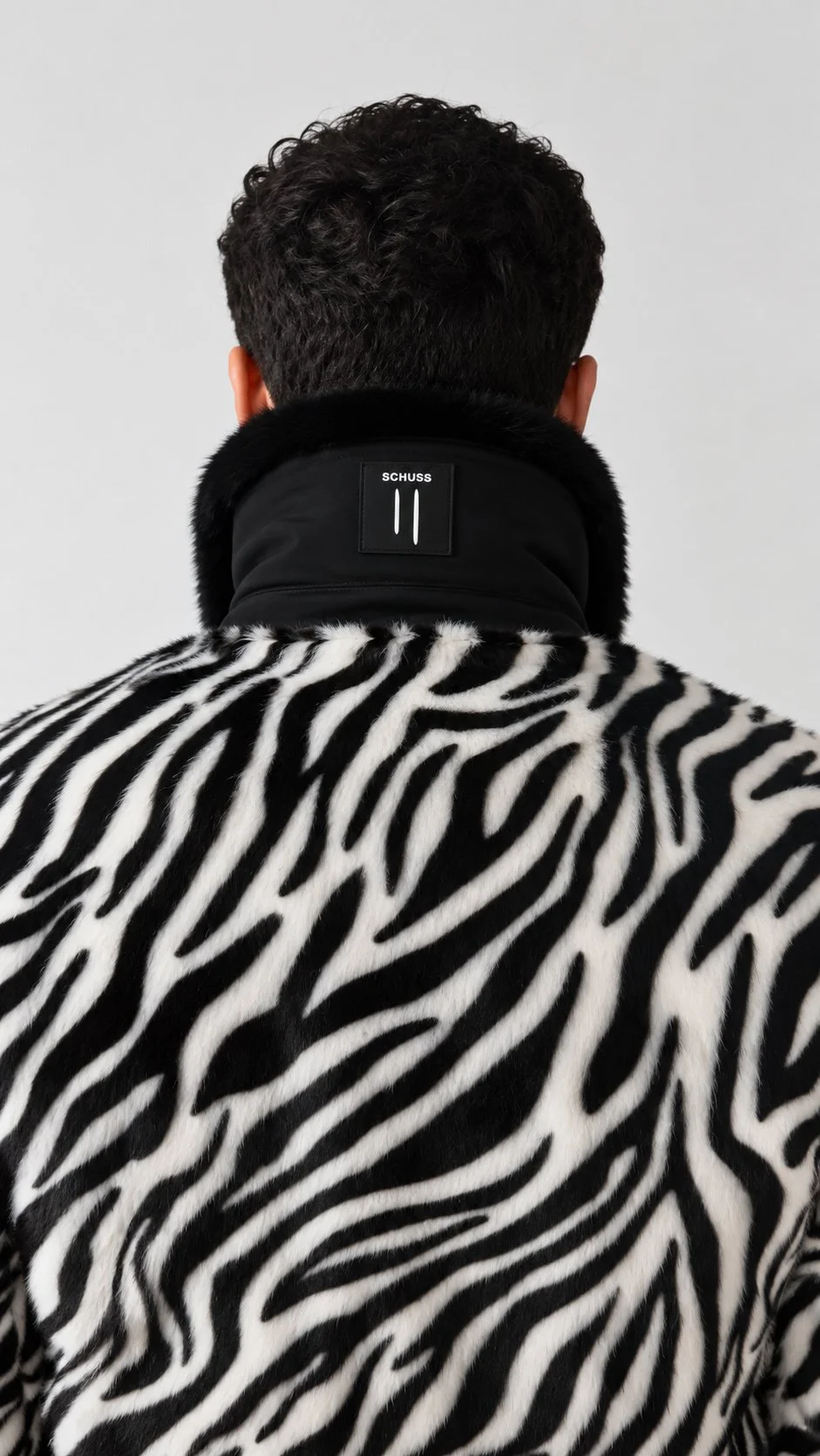 zebra (10).jpg