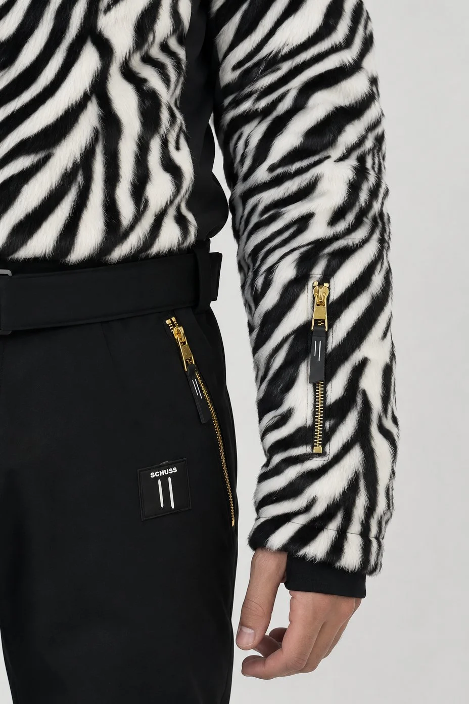 zebra (11).jpg