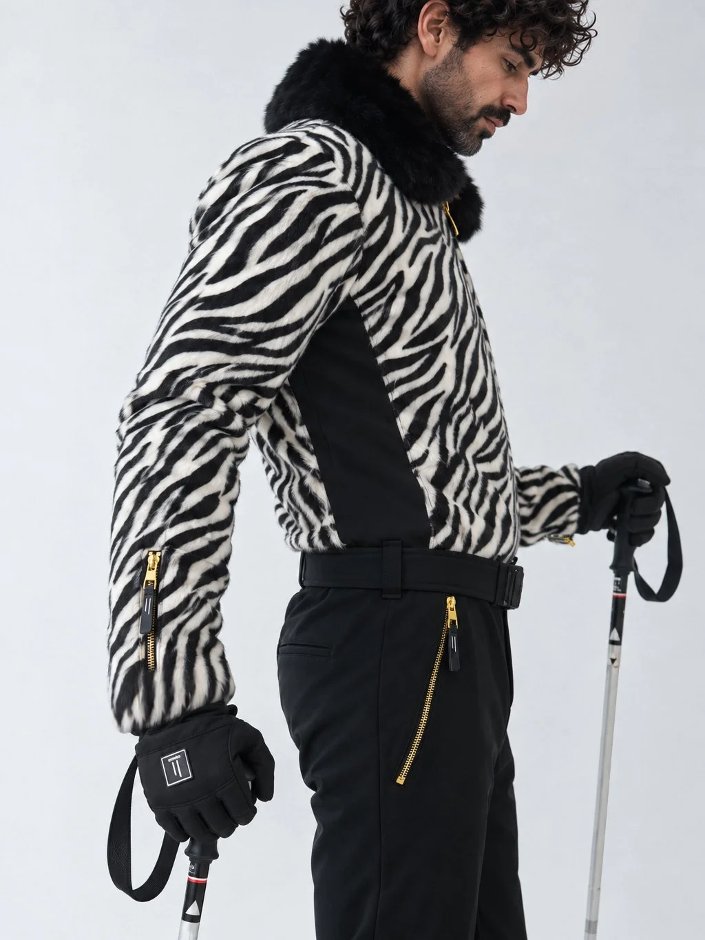 zebra (6).jpg.jpeg
