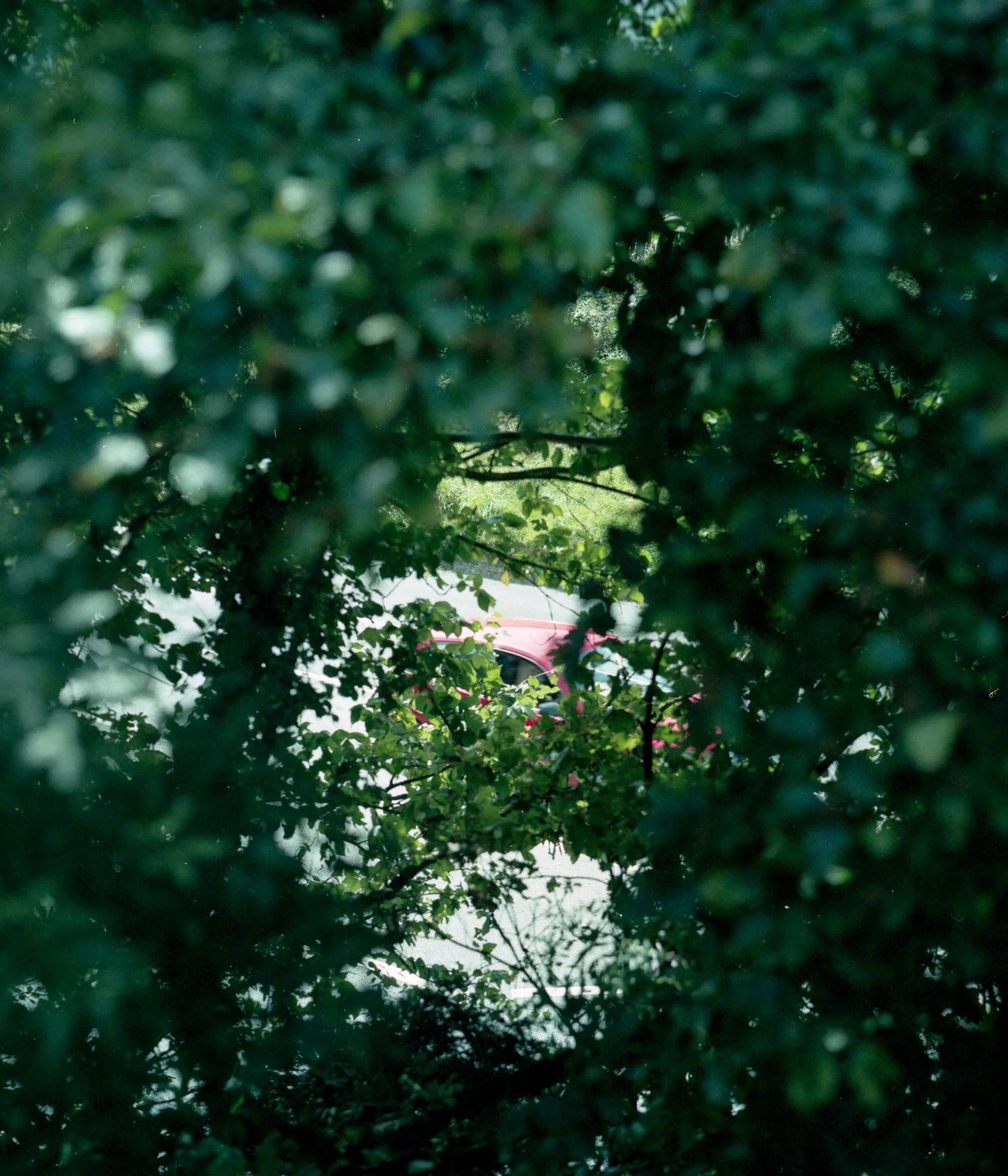 img20230919_17533687.jpg