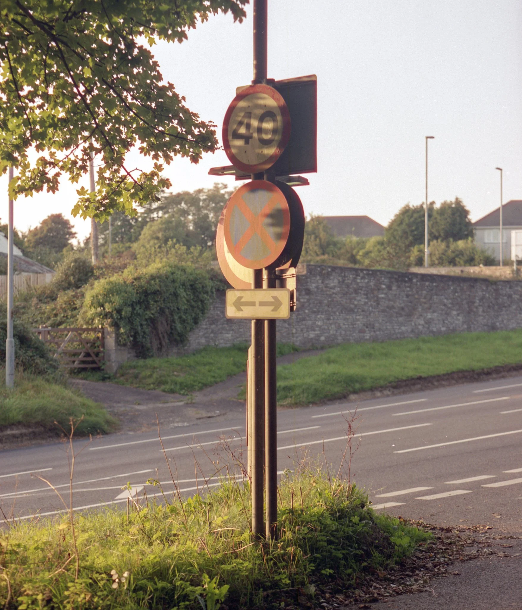 img20230919_18152321.jpg