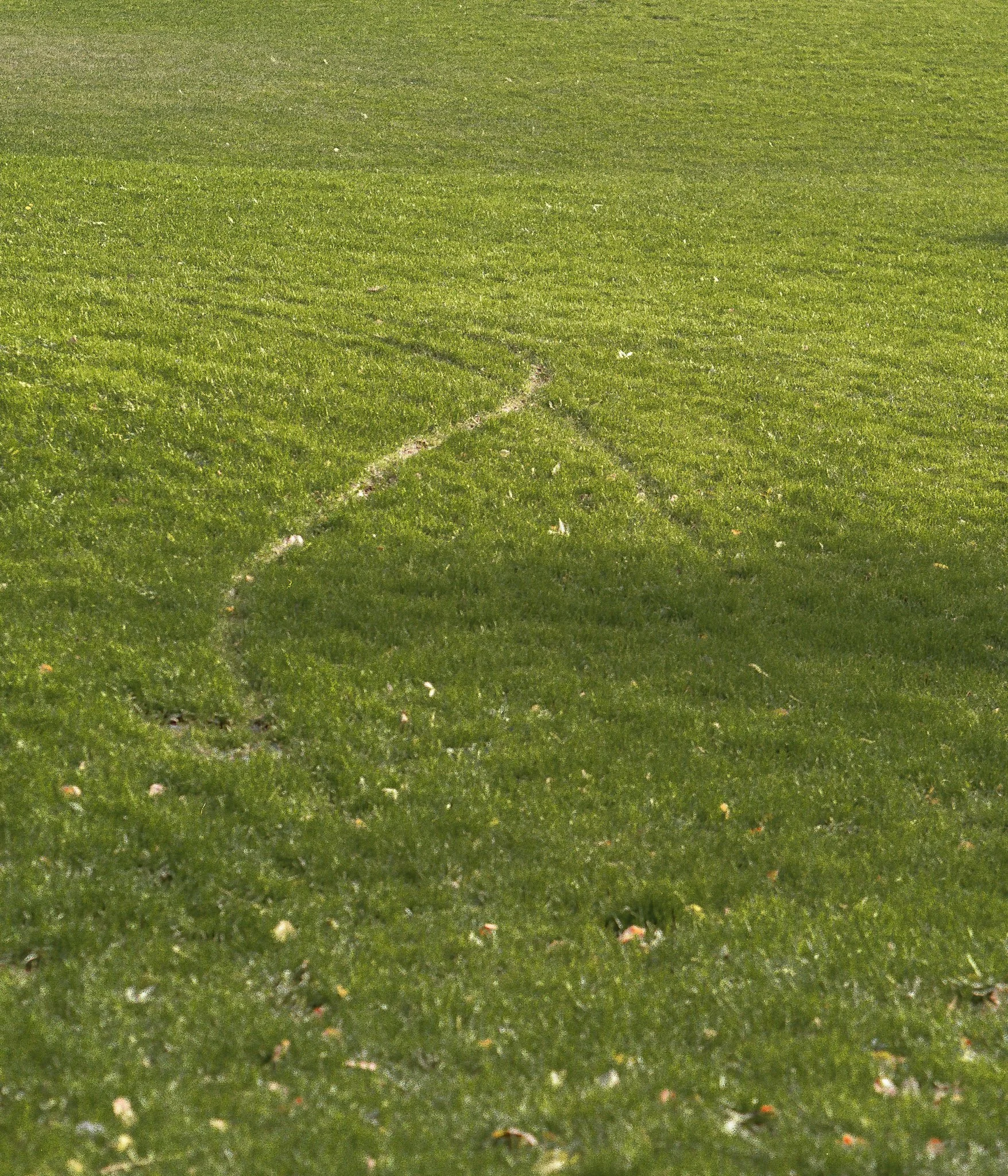 img20231104_19214426.jpg