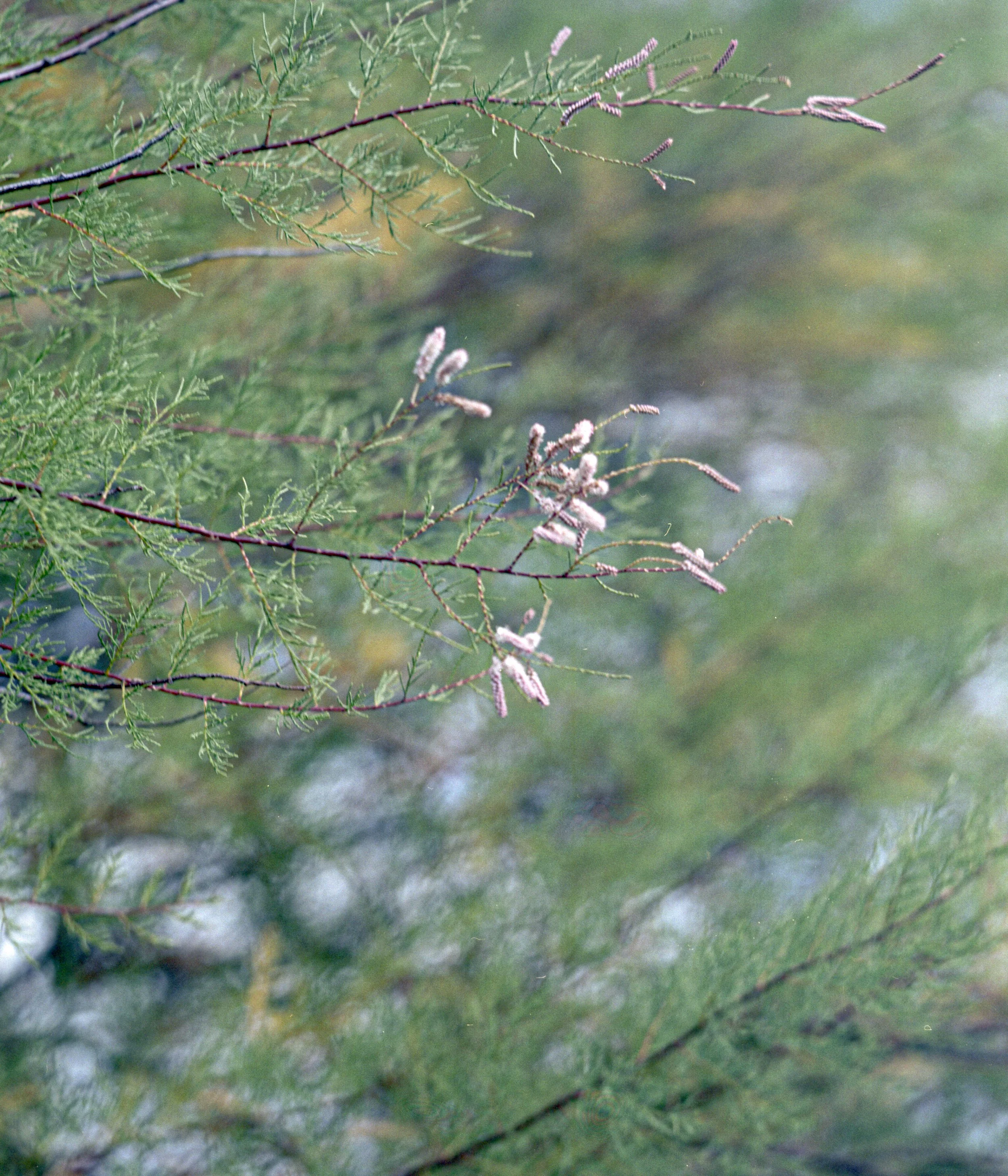 img20241012_17323165.jpg