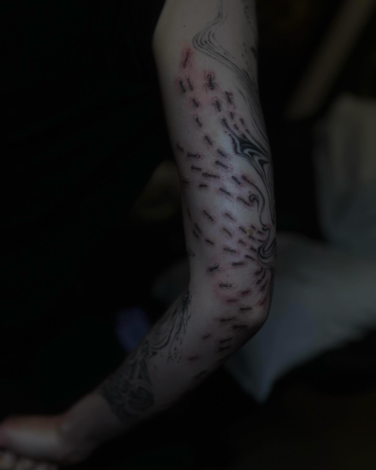 &hellip;something creepy crawly for you to dwell on for the time being &hellip;&hellip; 🐜 🐜 🐜 

More flash incoming but in the meantime enjoy this trail of ants 🐜 🐜 🐜 🐜 🐜 

#anttattoo #finelinetattoo #creature #creaturetattoo #halloween #hall