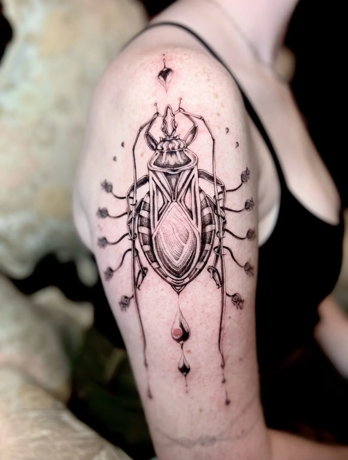 Bloodsucking Conenose Beetle Brooch for Forest. ❤️&zwj;🔥 just wanted to try one more time for posting to get the lighting right just cause I absolutely love how this turned out- thank you for loving and forever carrying around this majestic vampiric