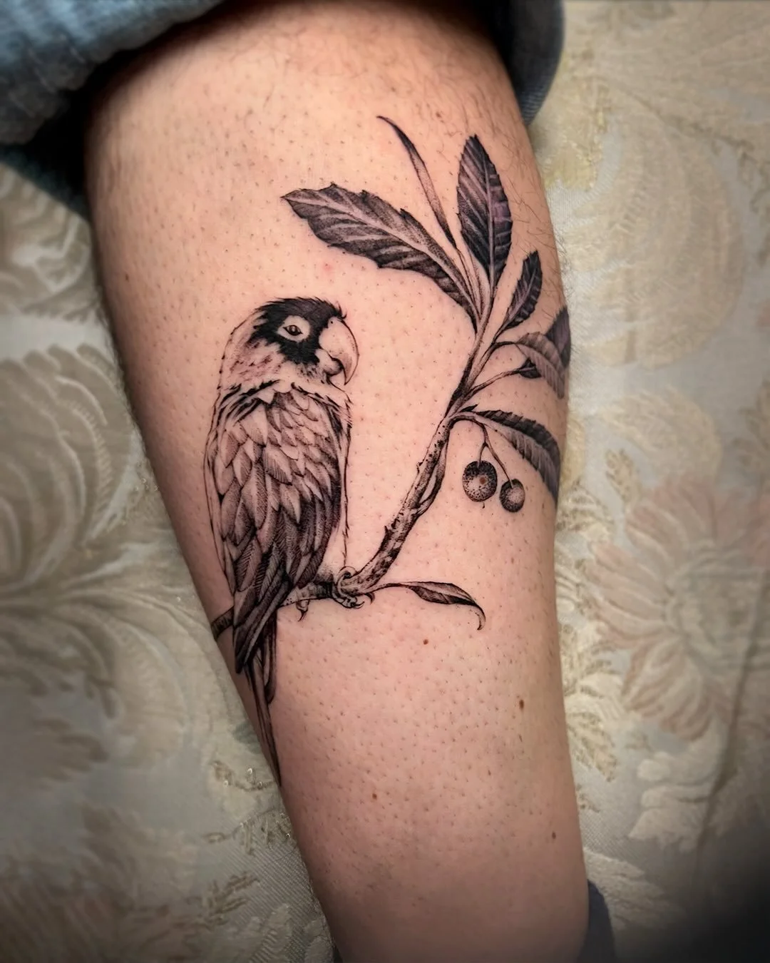 A parrot 🦜 🦜 🦜 one of three to squawk into the new year perched upon a most majestic branch 🖤 a most remarkable occurrence of this thriving species in SF! Find them in trees fluttering and singing about!thank you for letting me commemorate your f