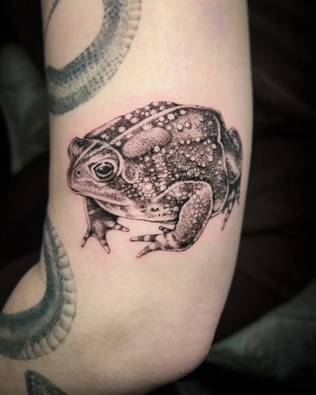 When the toad in the garden gets a permanent space on your arm. Or a toad with a &lsquo;tude 🐸 swipe to see his favorite mood&mdash; grumpy when squissssshed. 

For the beautifully eccentric Zoe, thank you always for gifting me these bizarre critter